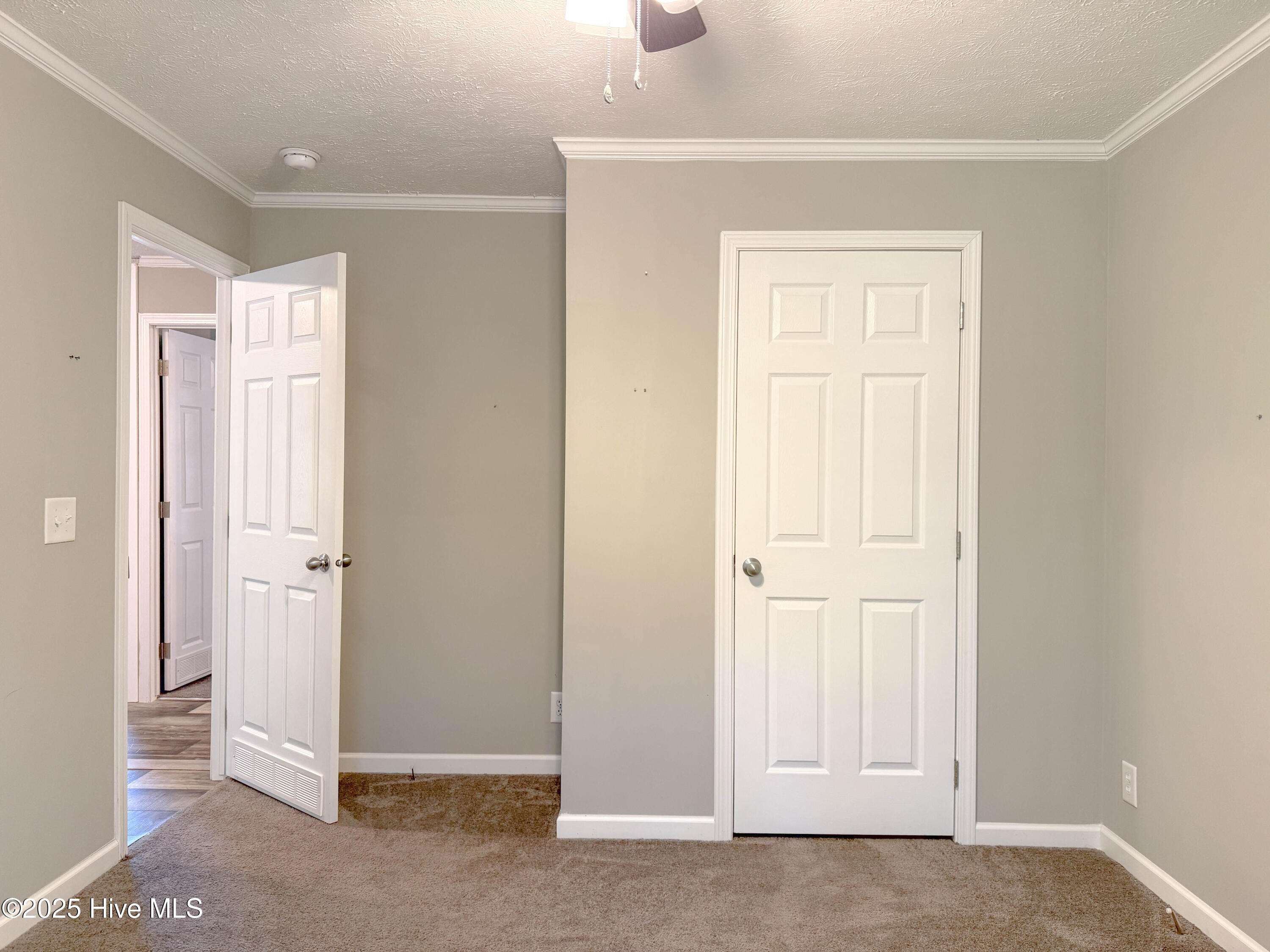 100540094 | Photo 53