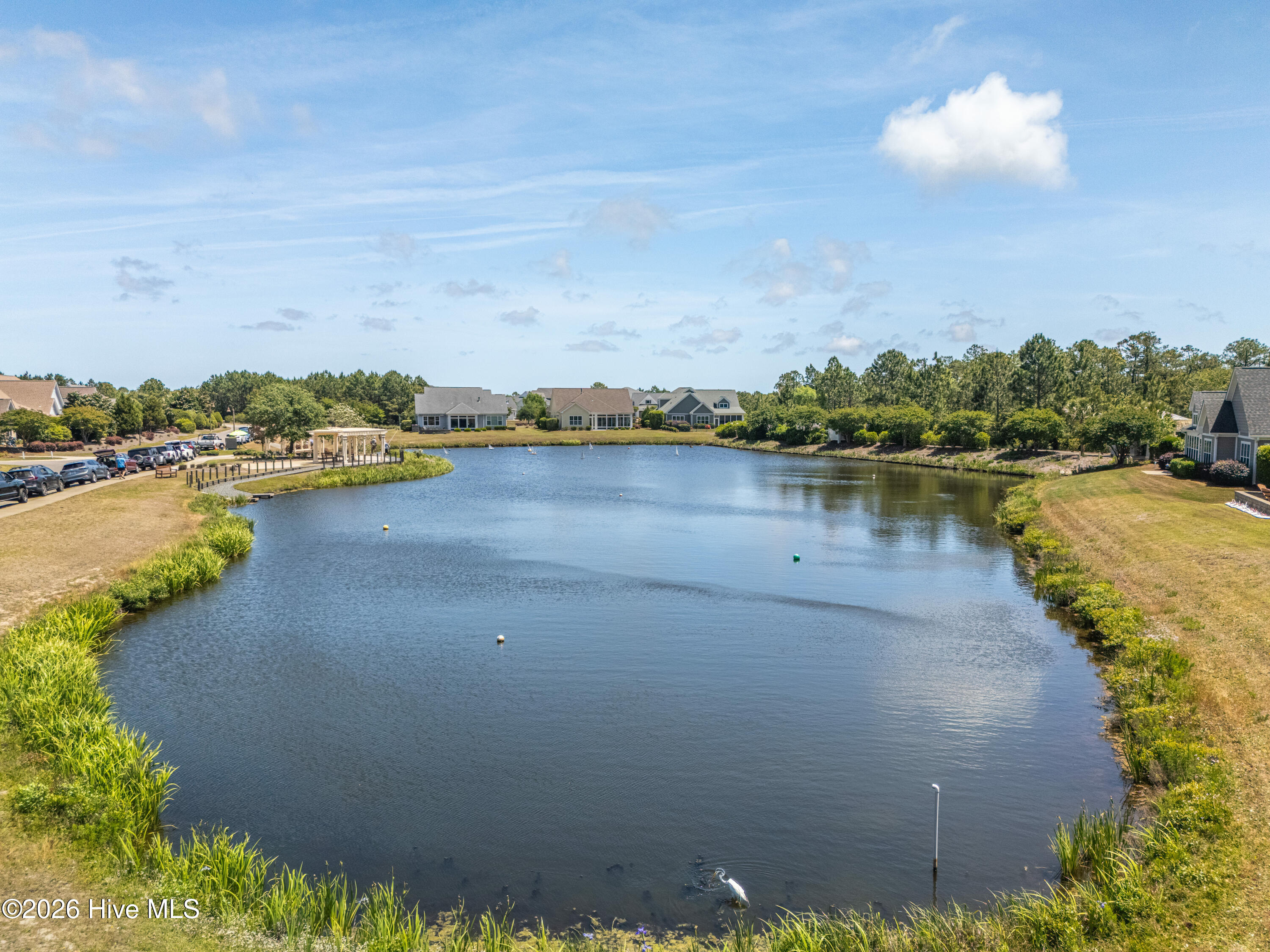 100560697 | Photo 105