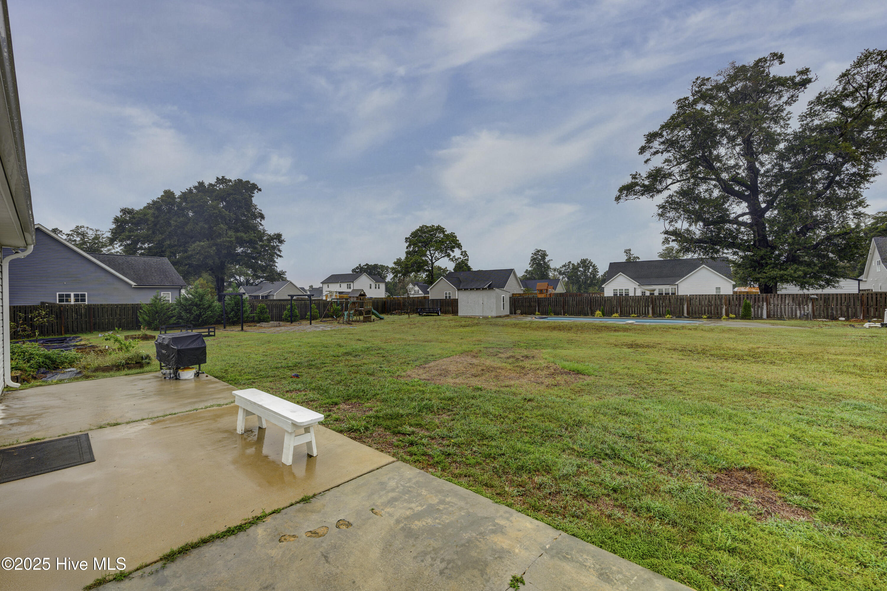 100534229 | Photo 51