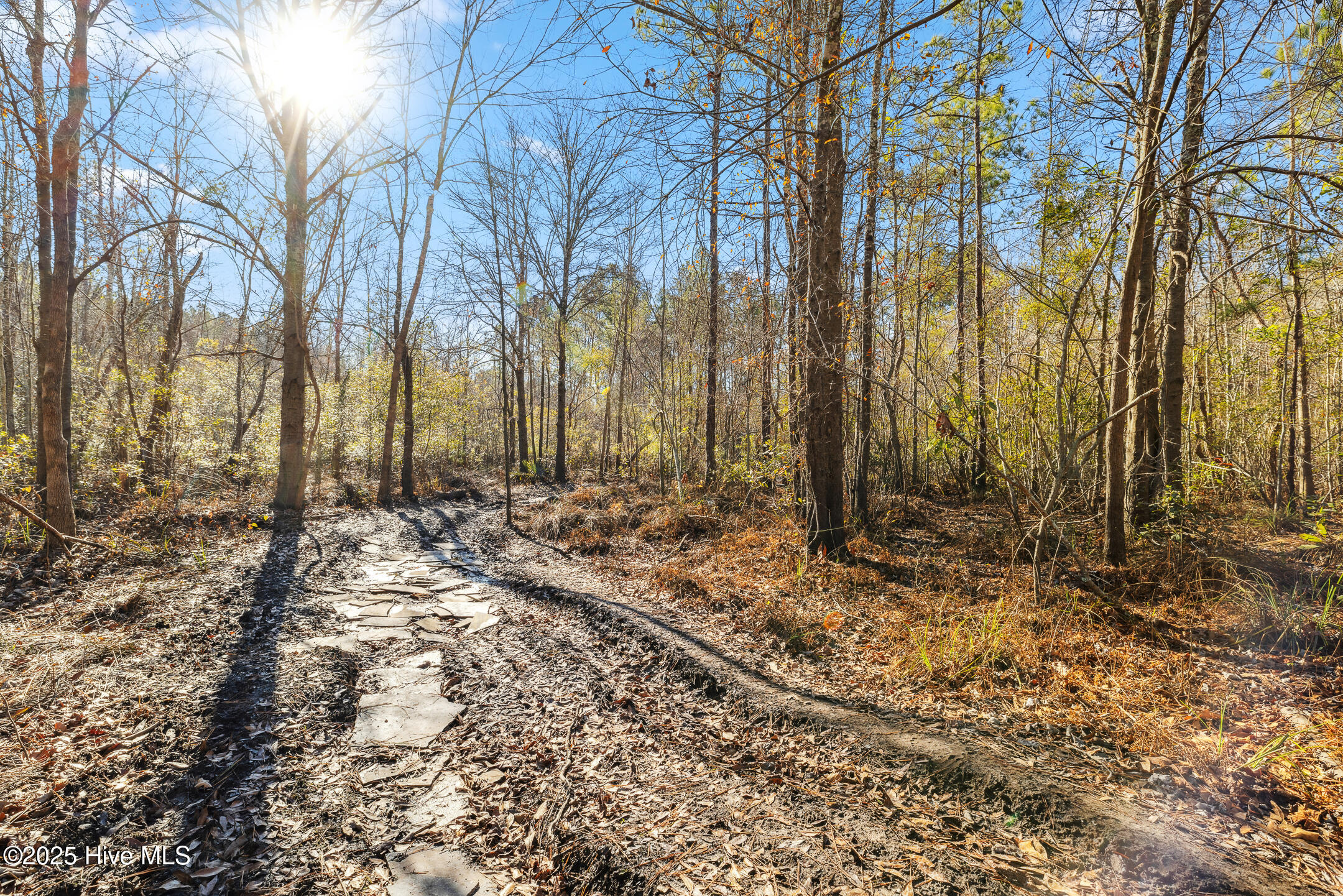 903 Equine Landing Drive