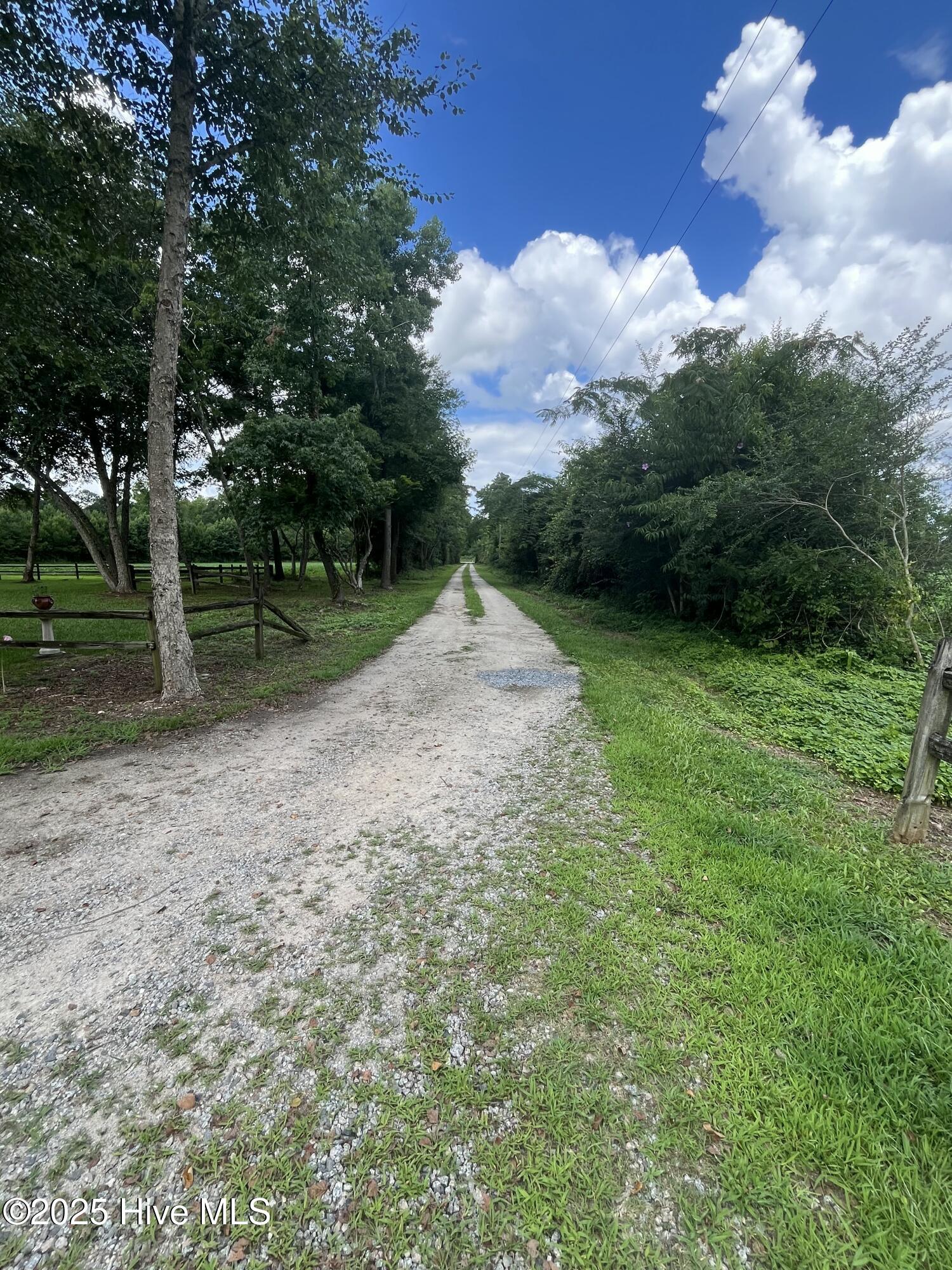 100539839 | Photo 46