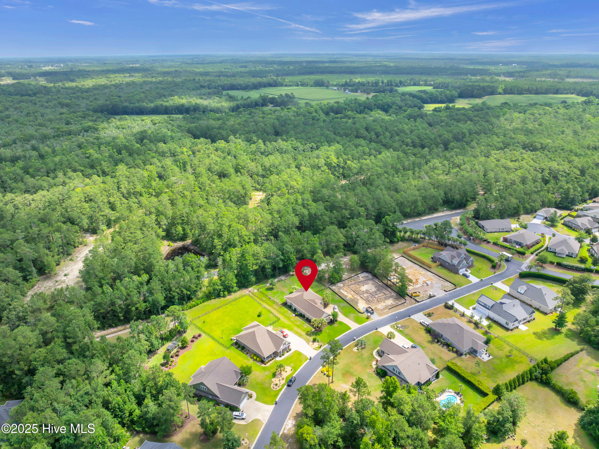 100517542 | Photo 48