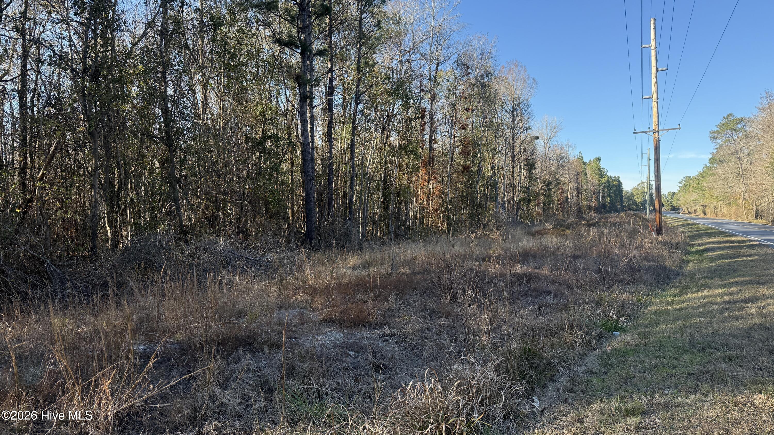 100556794 | Photo 38