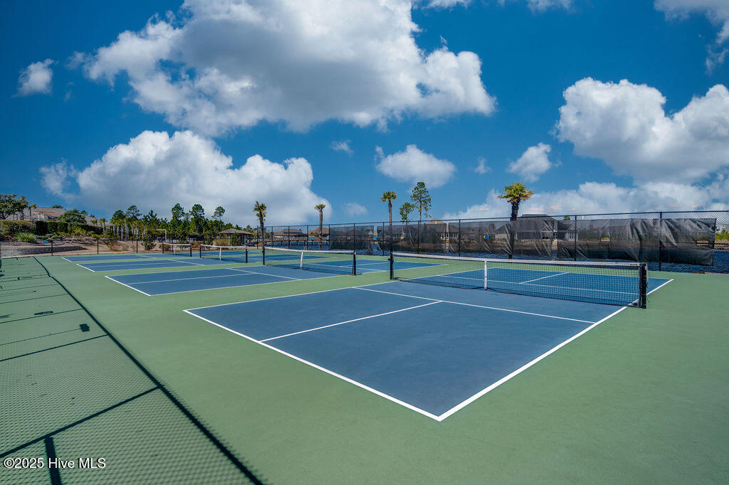 100529139 | Photo 53