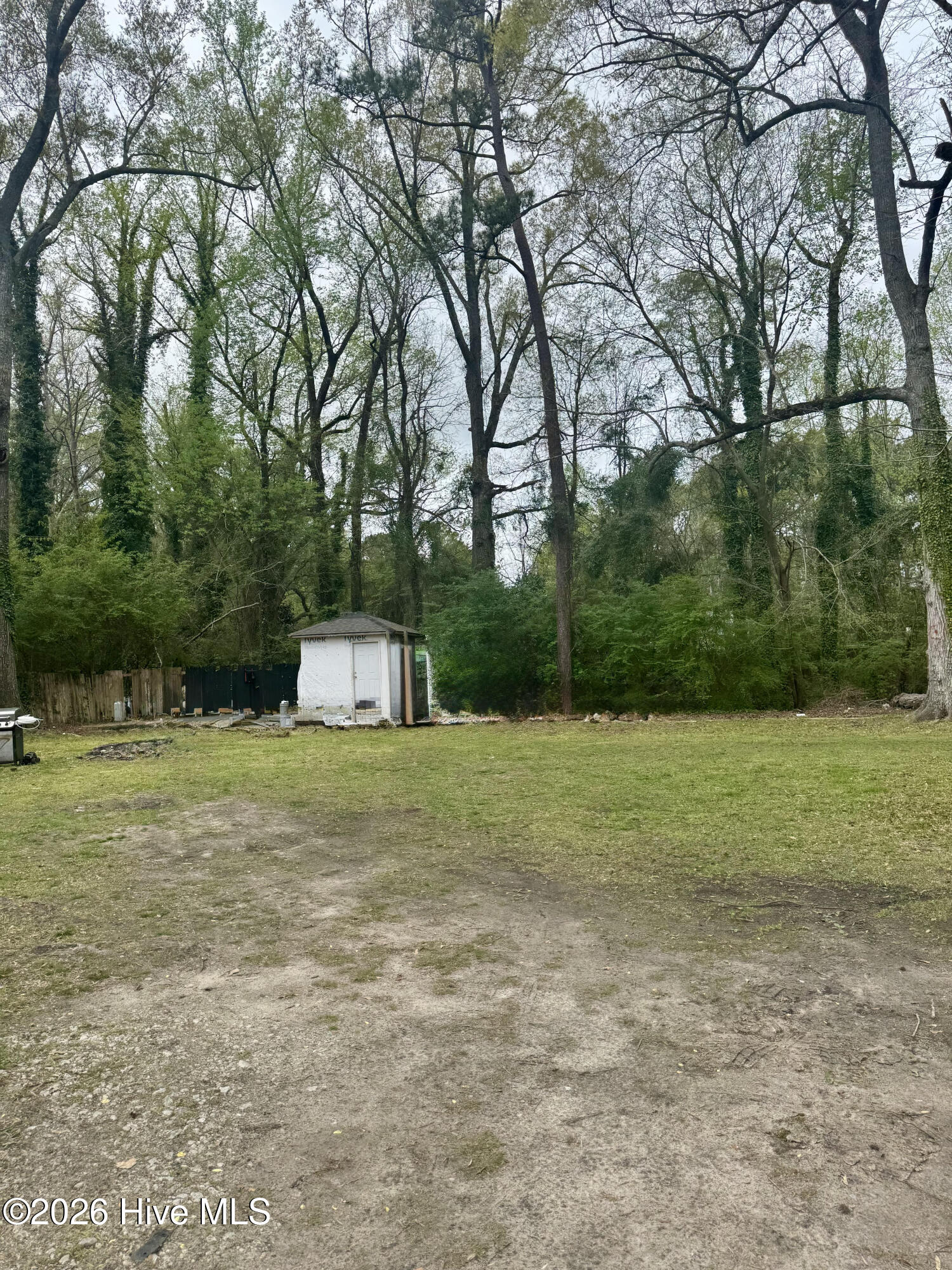 100562045 | Photo 12