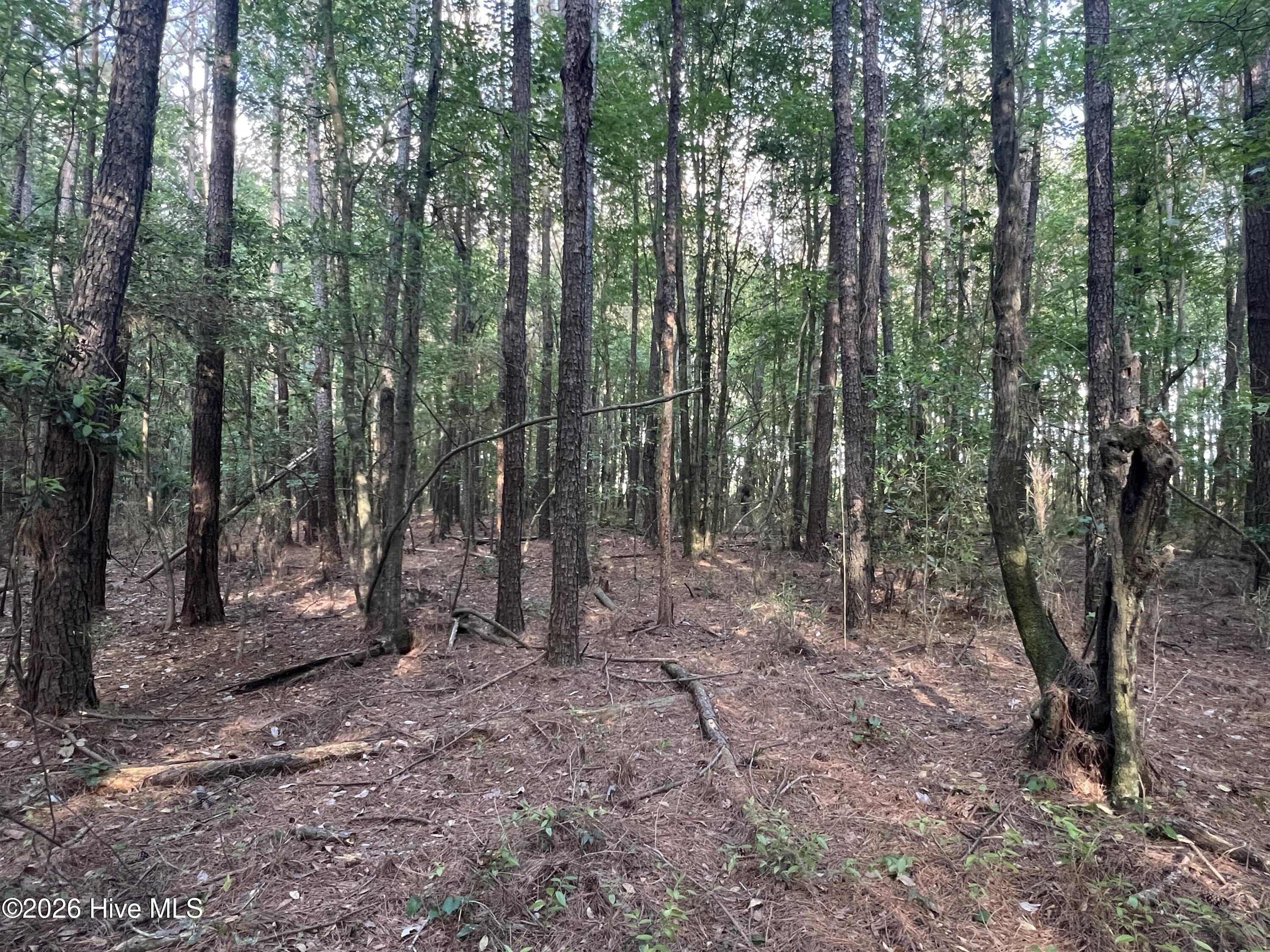 0 Nc 30, Stokes, NC, 27884