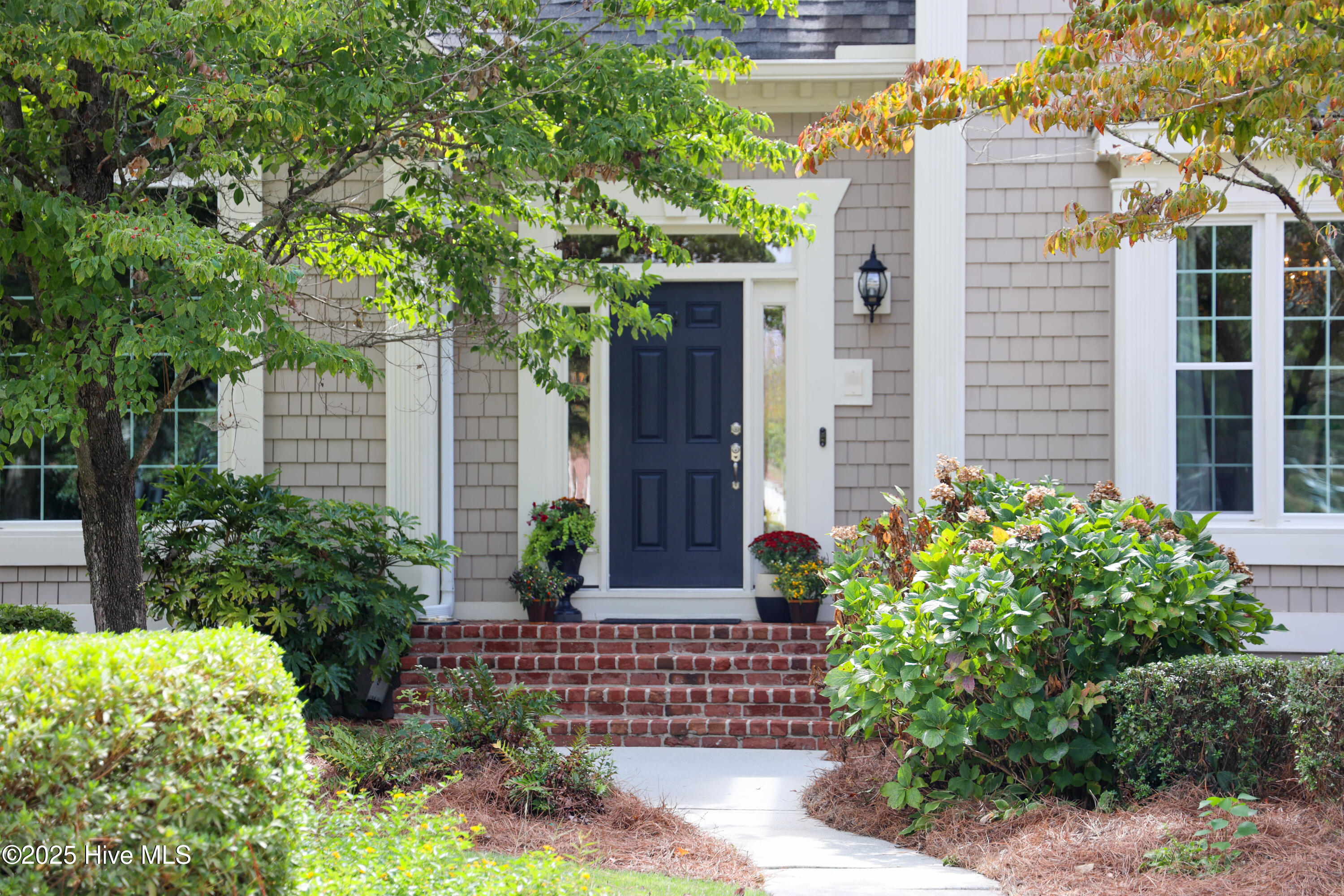 Photo Sep 16 2025, 11 36 54 AM - Copy