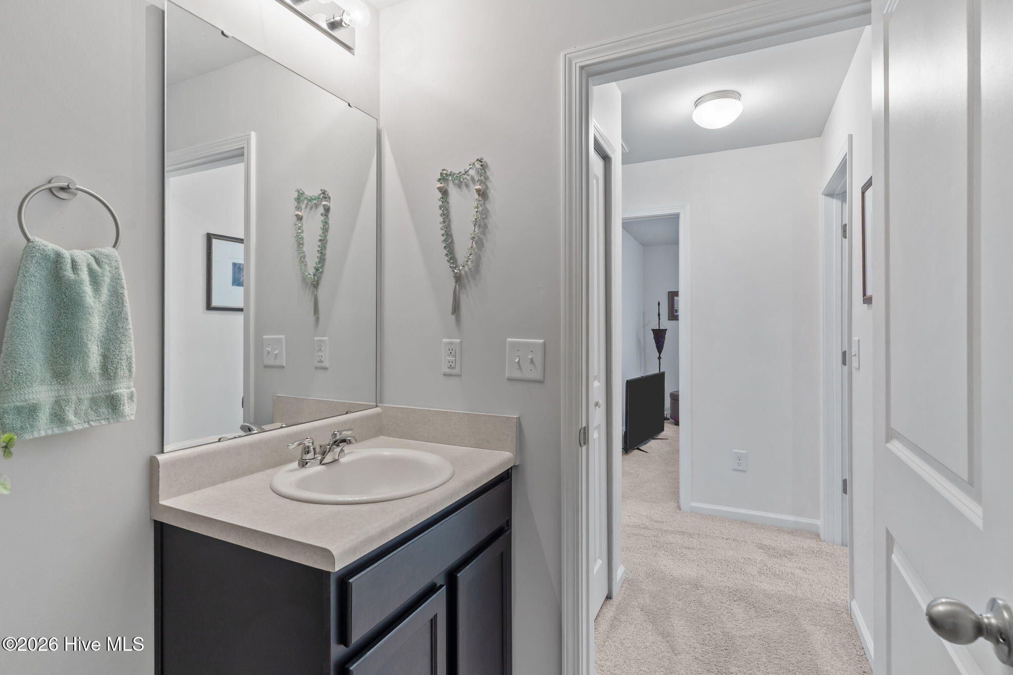 100564485 | Photo 33