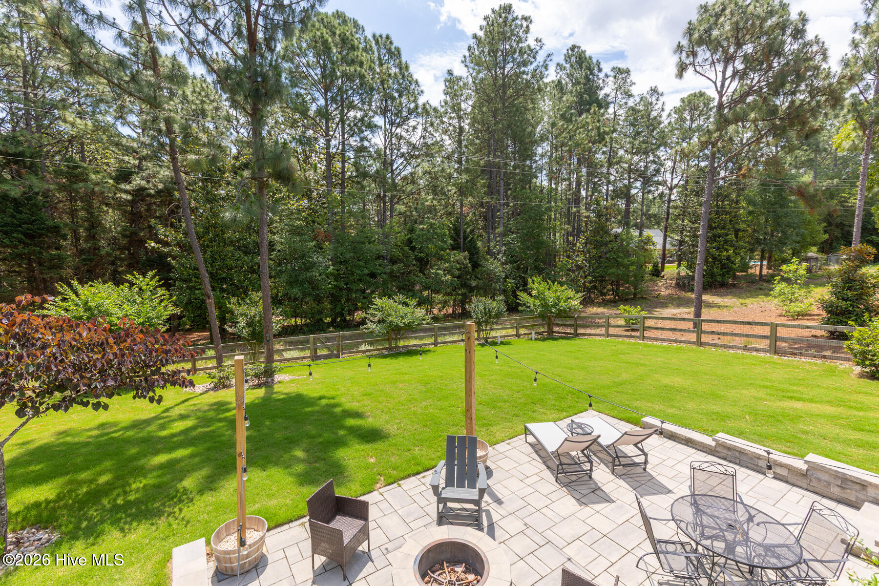 backyard2