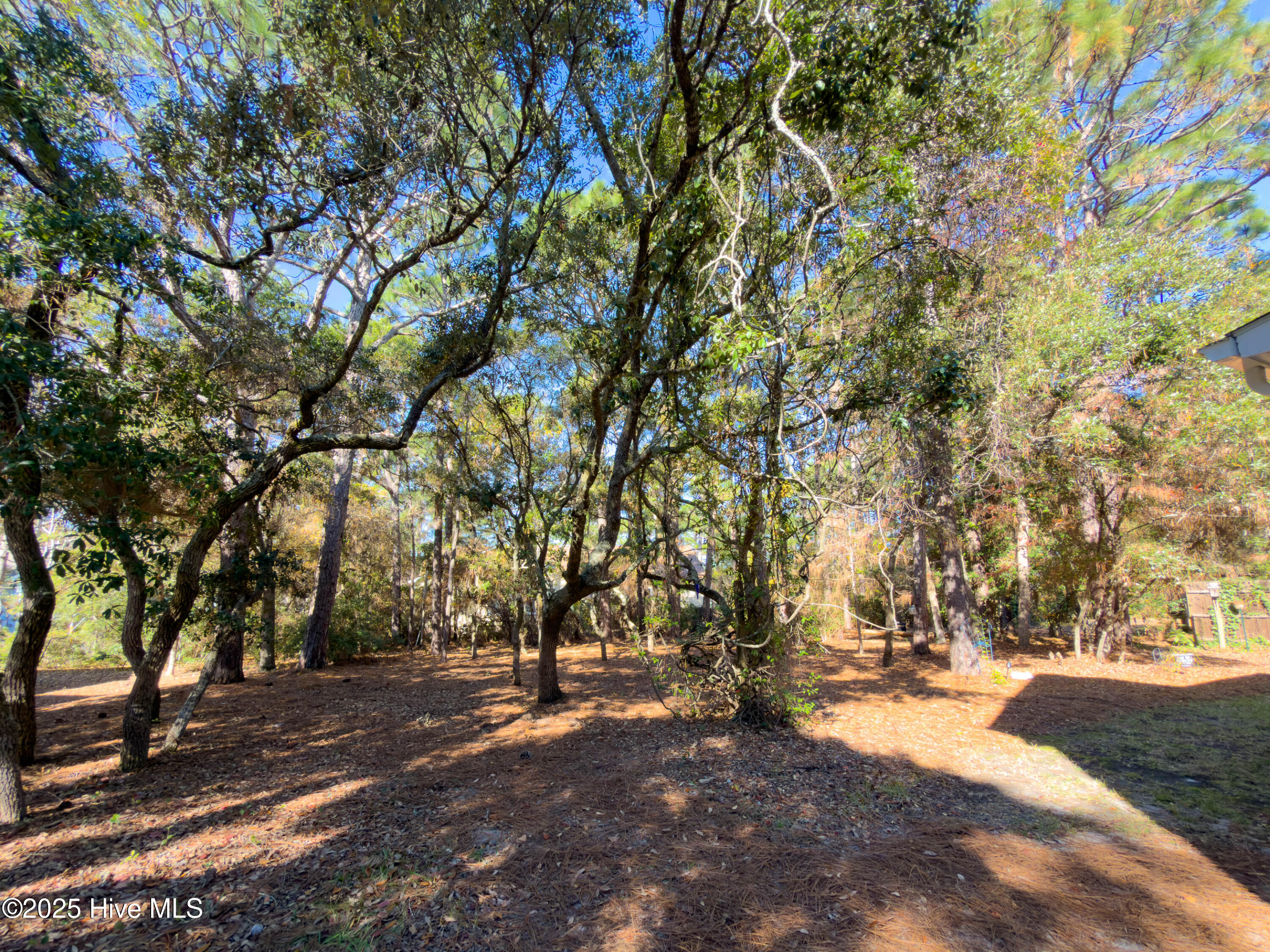 100542909 | Photo 55