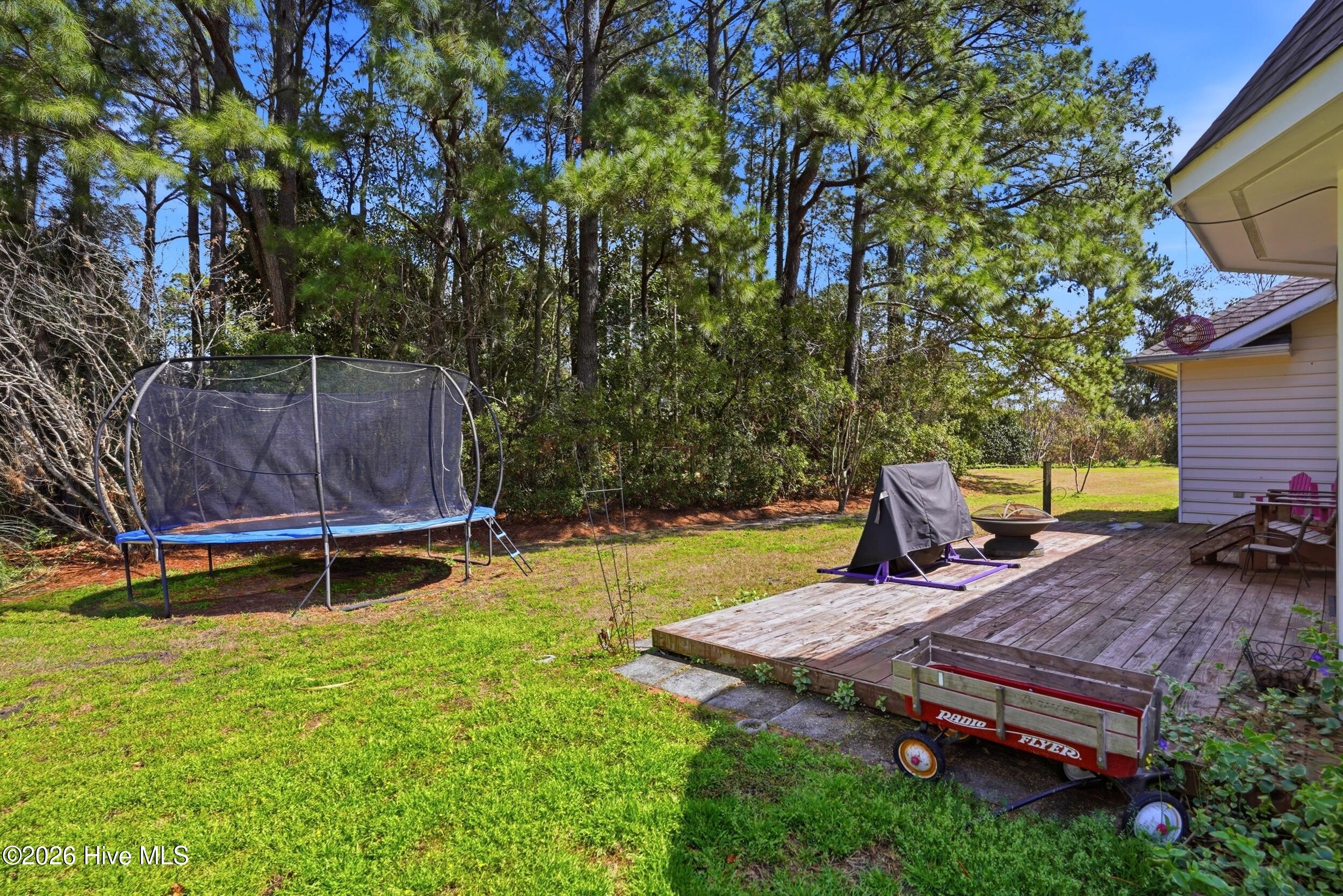 100559027 | Photo 28