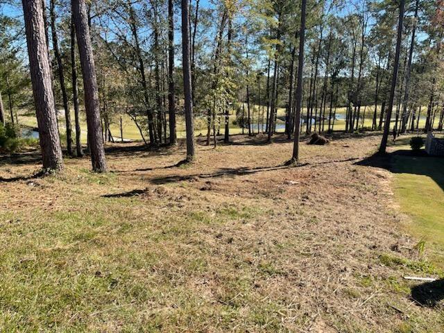 Lot M-46 Mary Johnson'S Court, North Augusta, SC, 29860