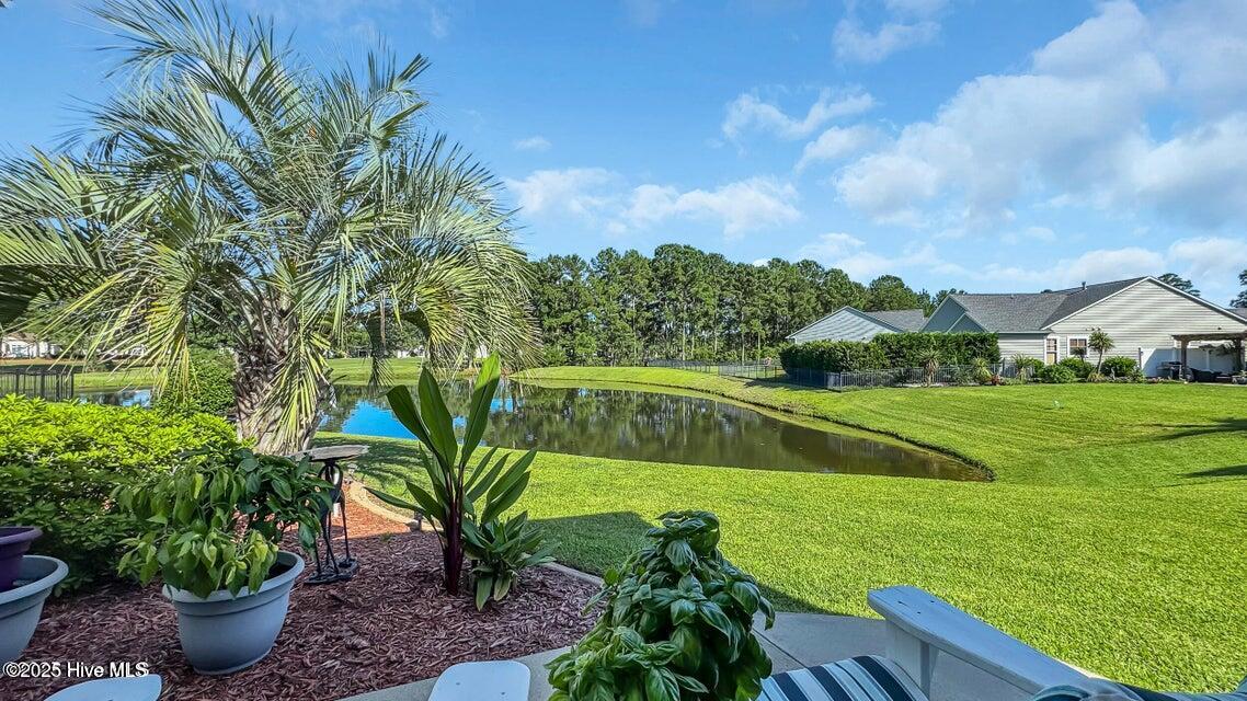 100545861 | Photo 33