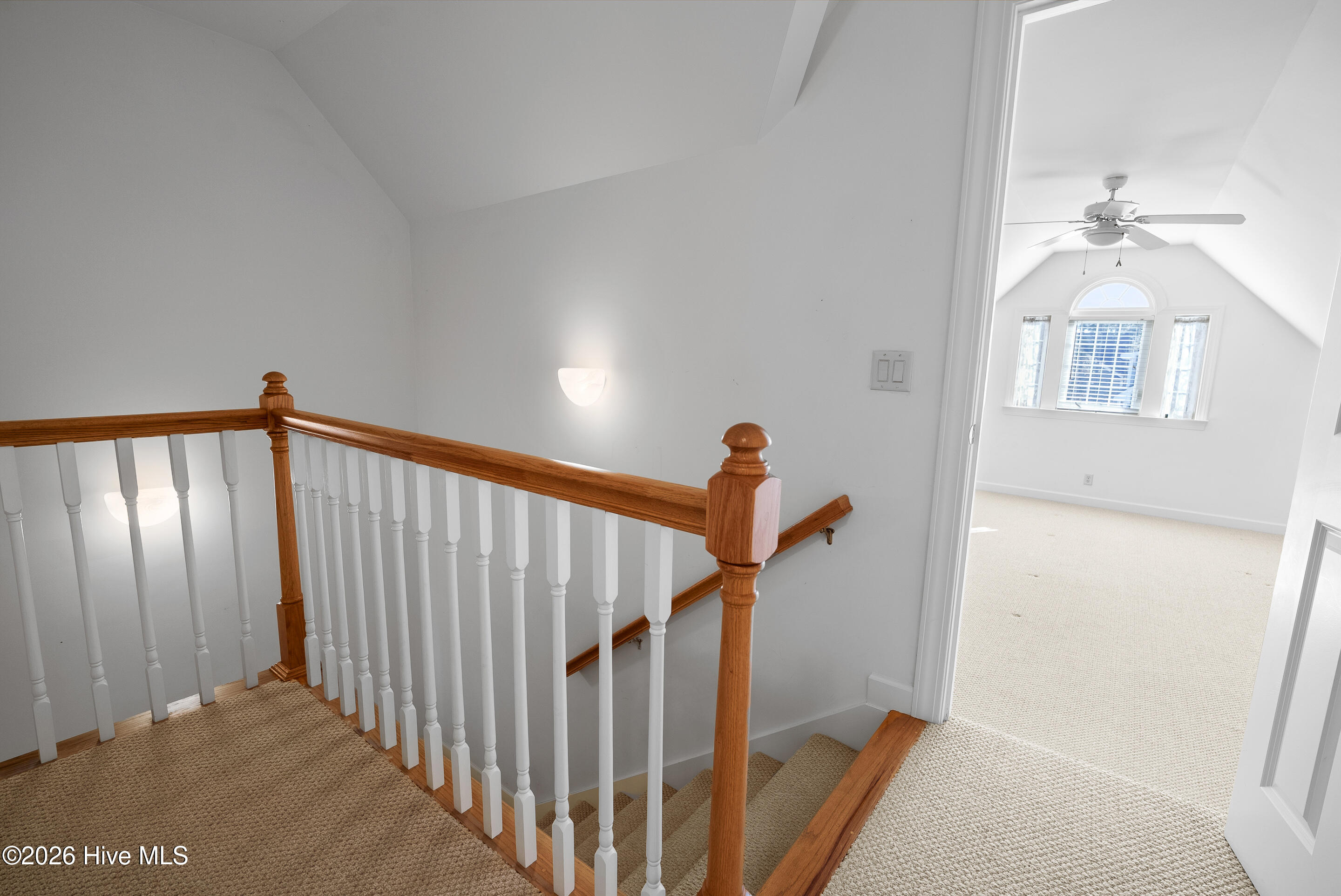 100558989 | Photo 30