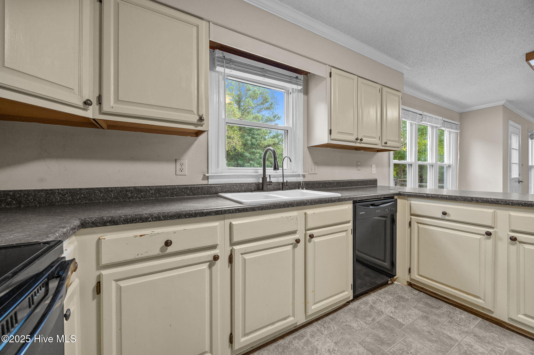 100534053 | Photo 11