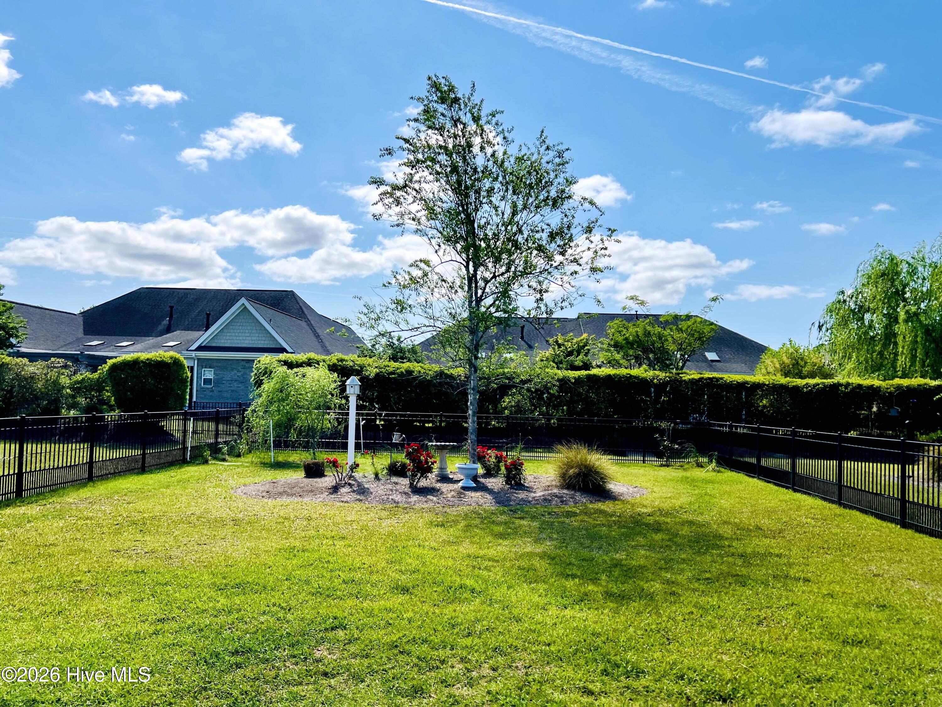 100562211 | Photo 32