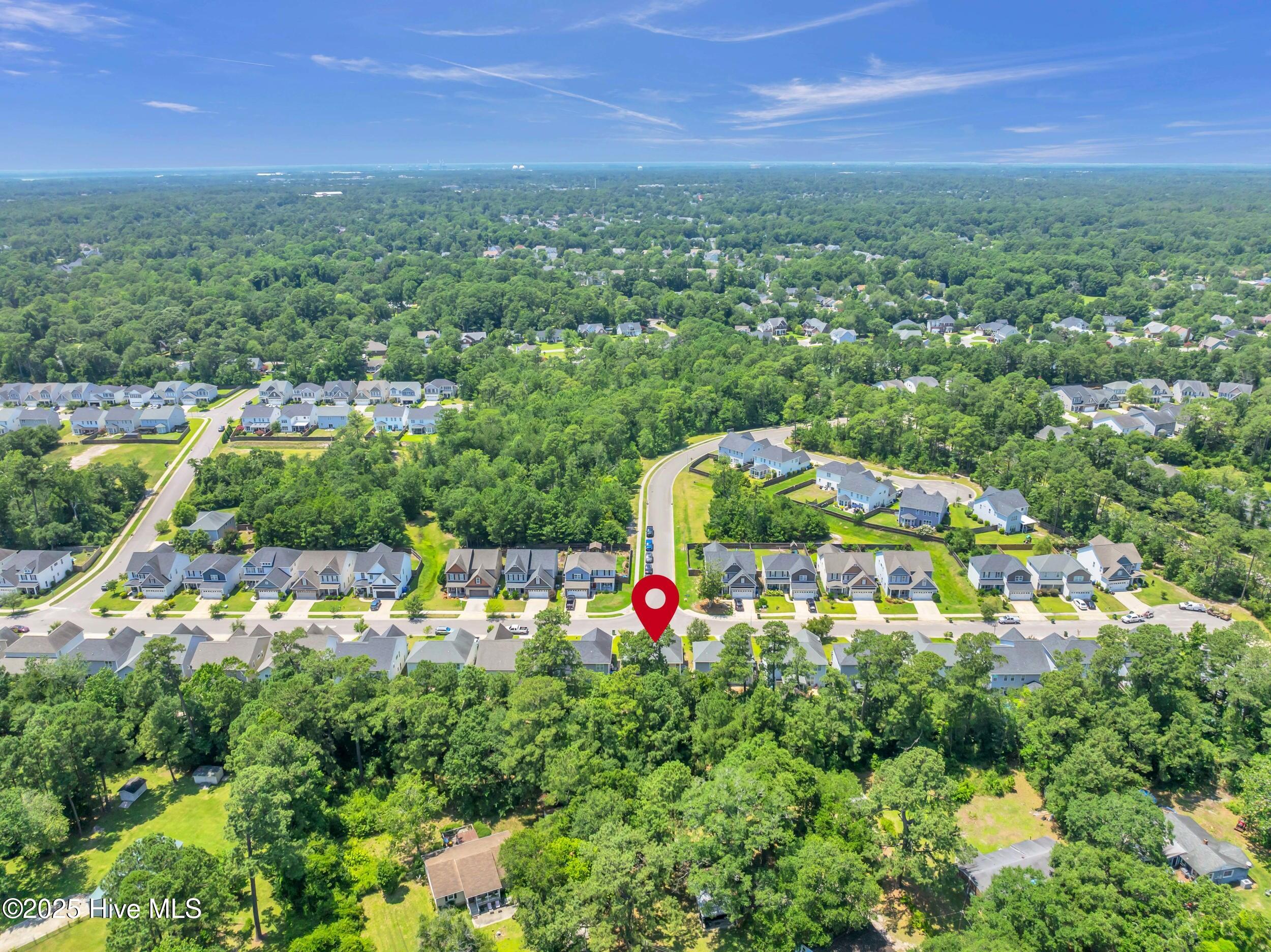 100516387 | Photo 26