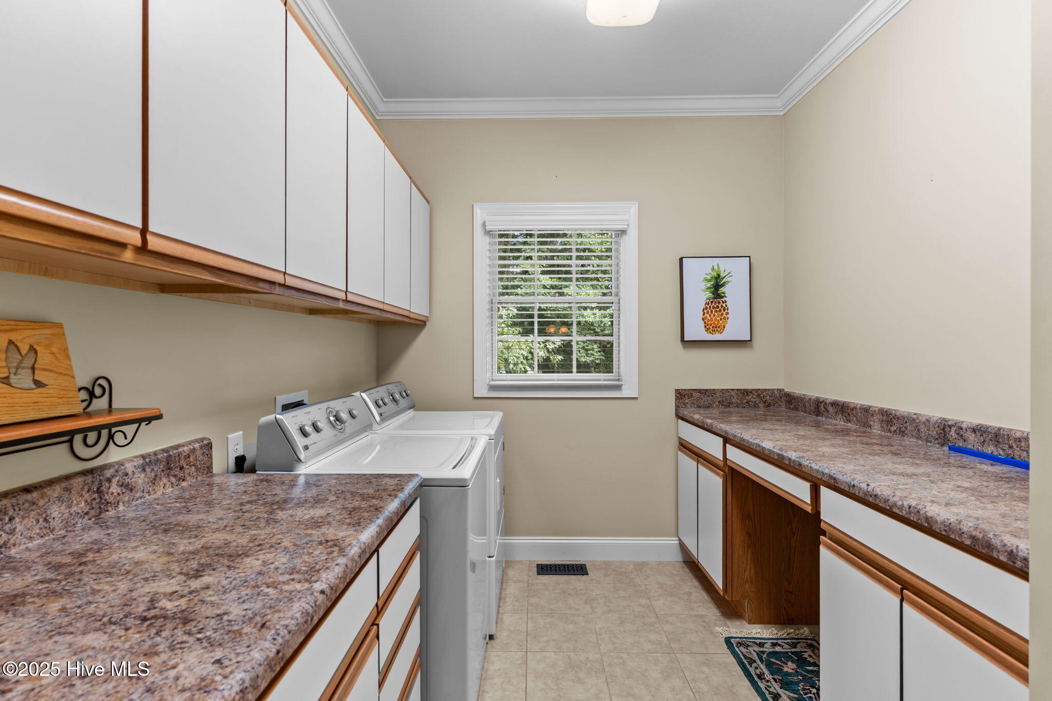 100524076 | Photo 15