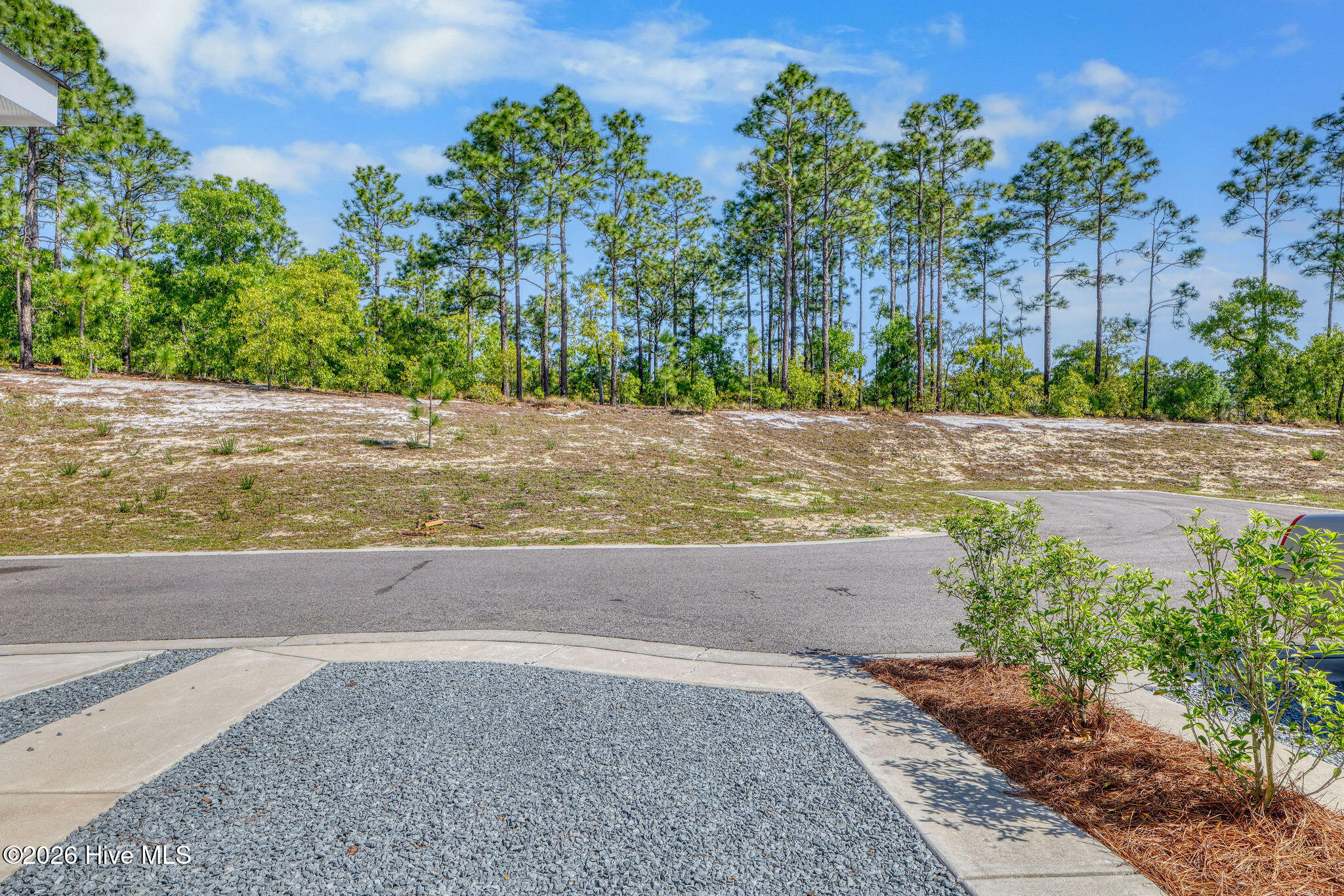 100569127 | Photo 37