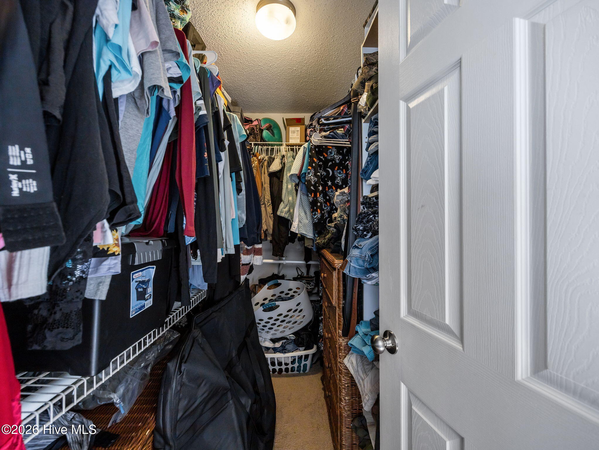 100568127 | Photo 23