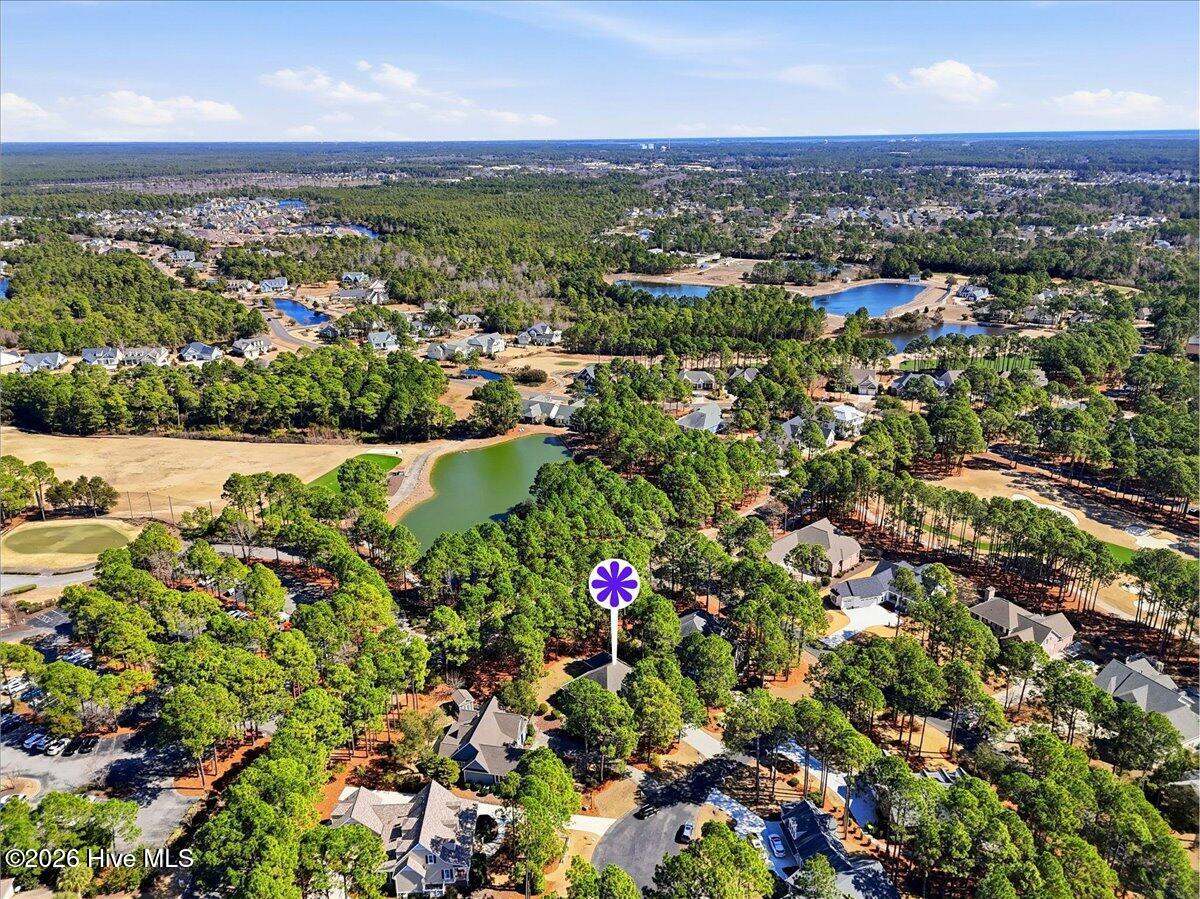 100556407 | Photo 67