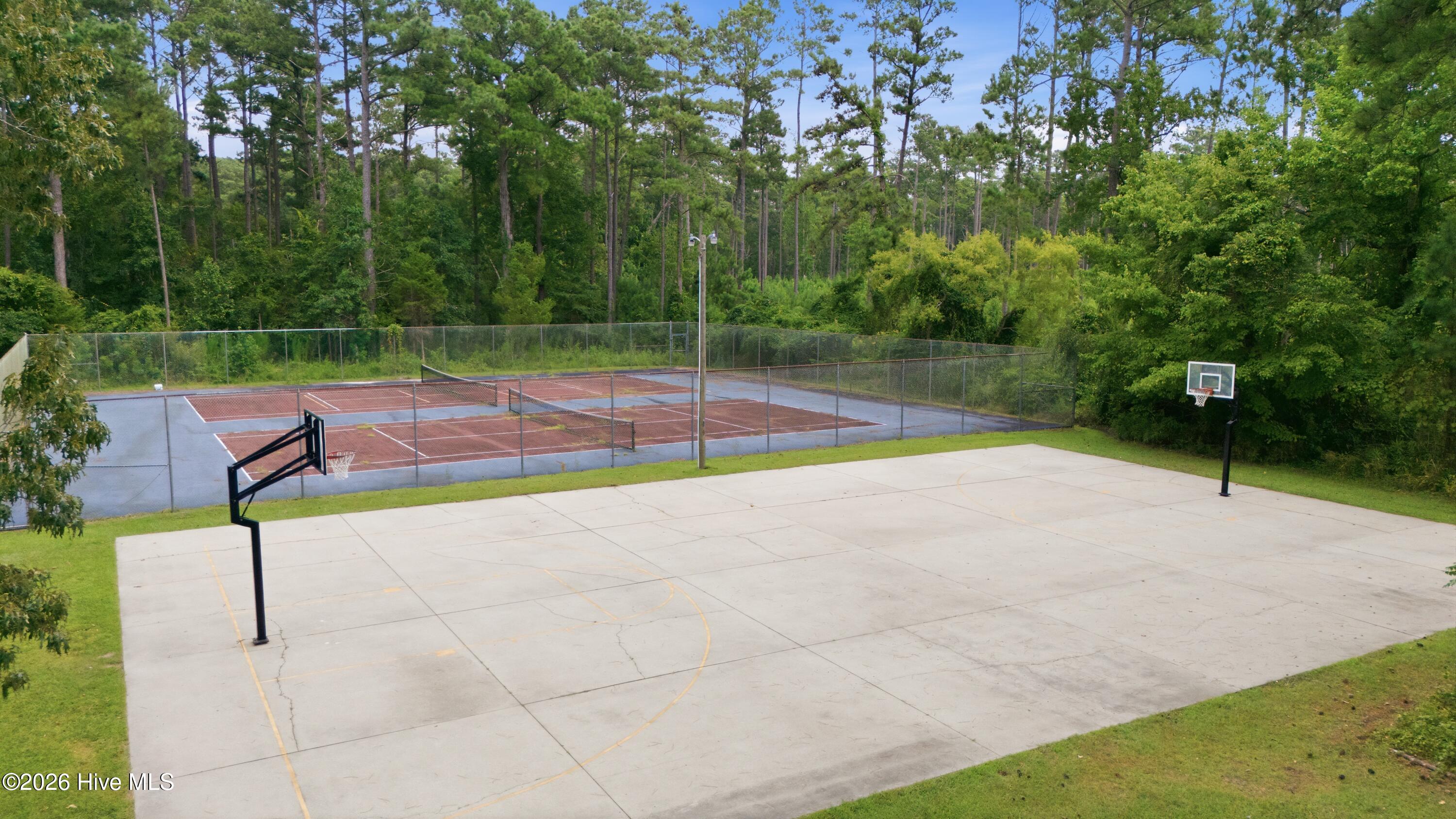 105 Quarter Horse,Havelock