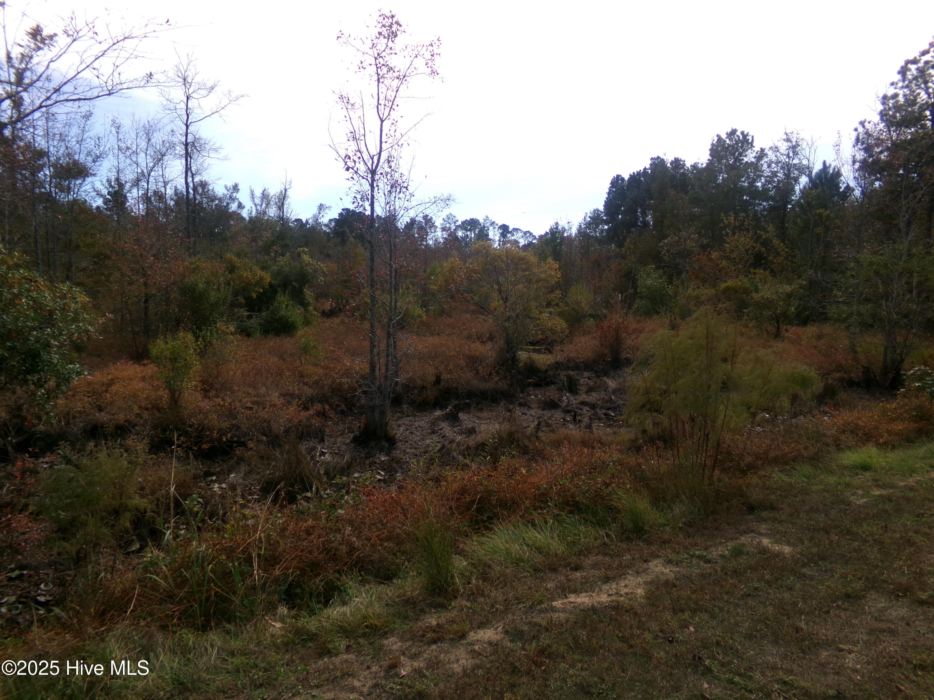 lot 1 Frazier Drive, Riceboro, GA, 31323