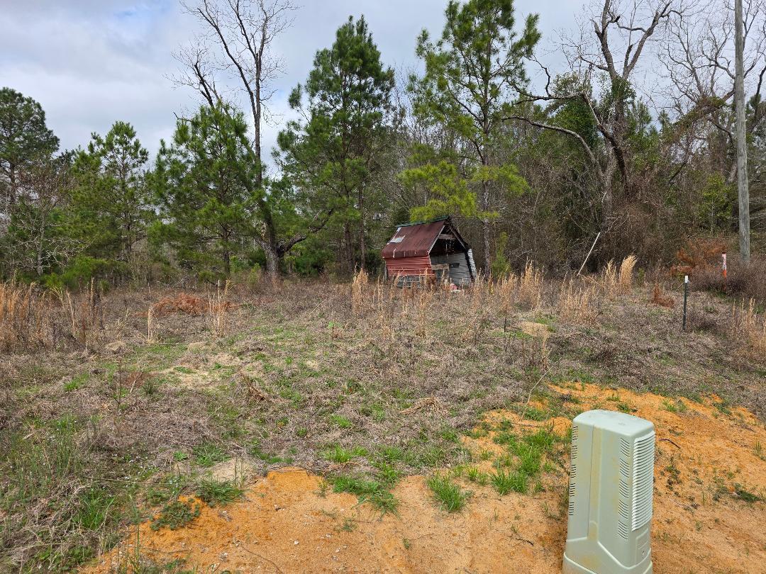 lot 1 Frazier Drive, Riceboro, GA, 31323