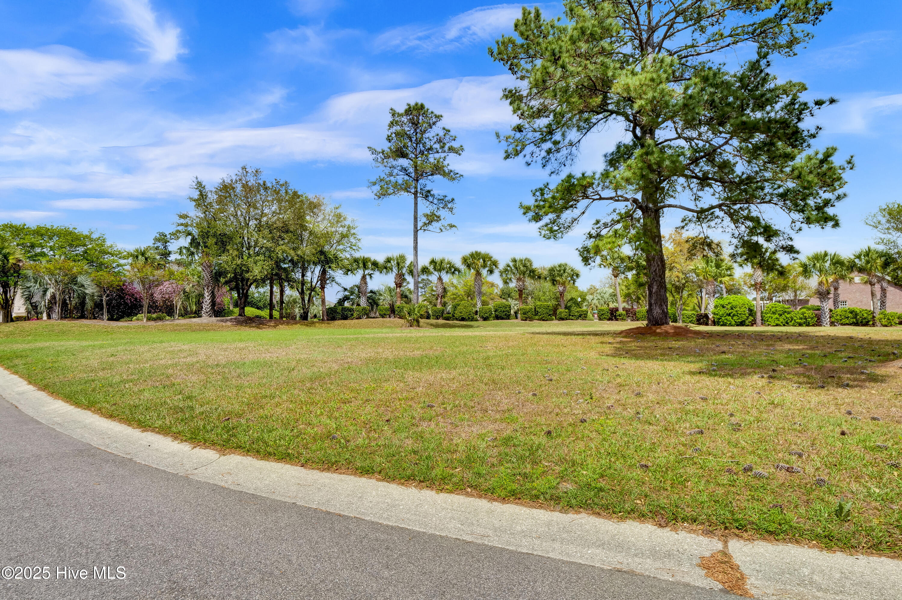 100501498 | Photo 13