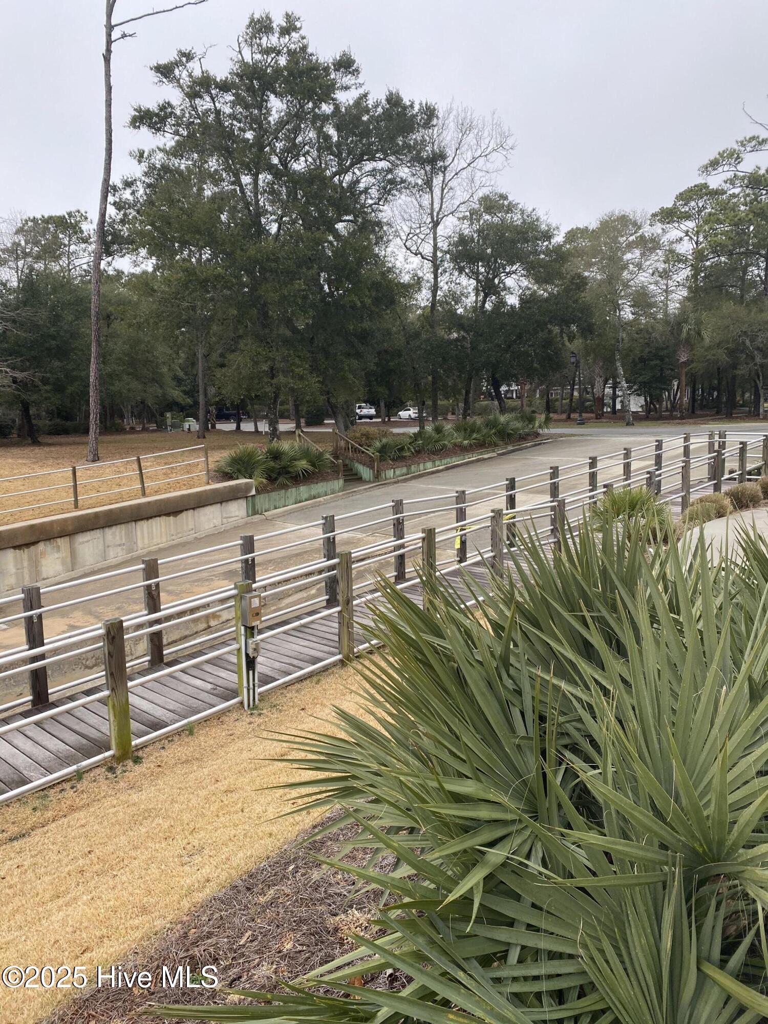 100488019 | Photo 31