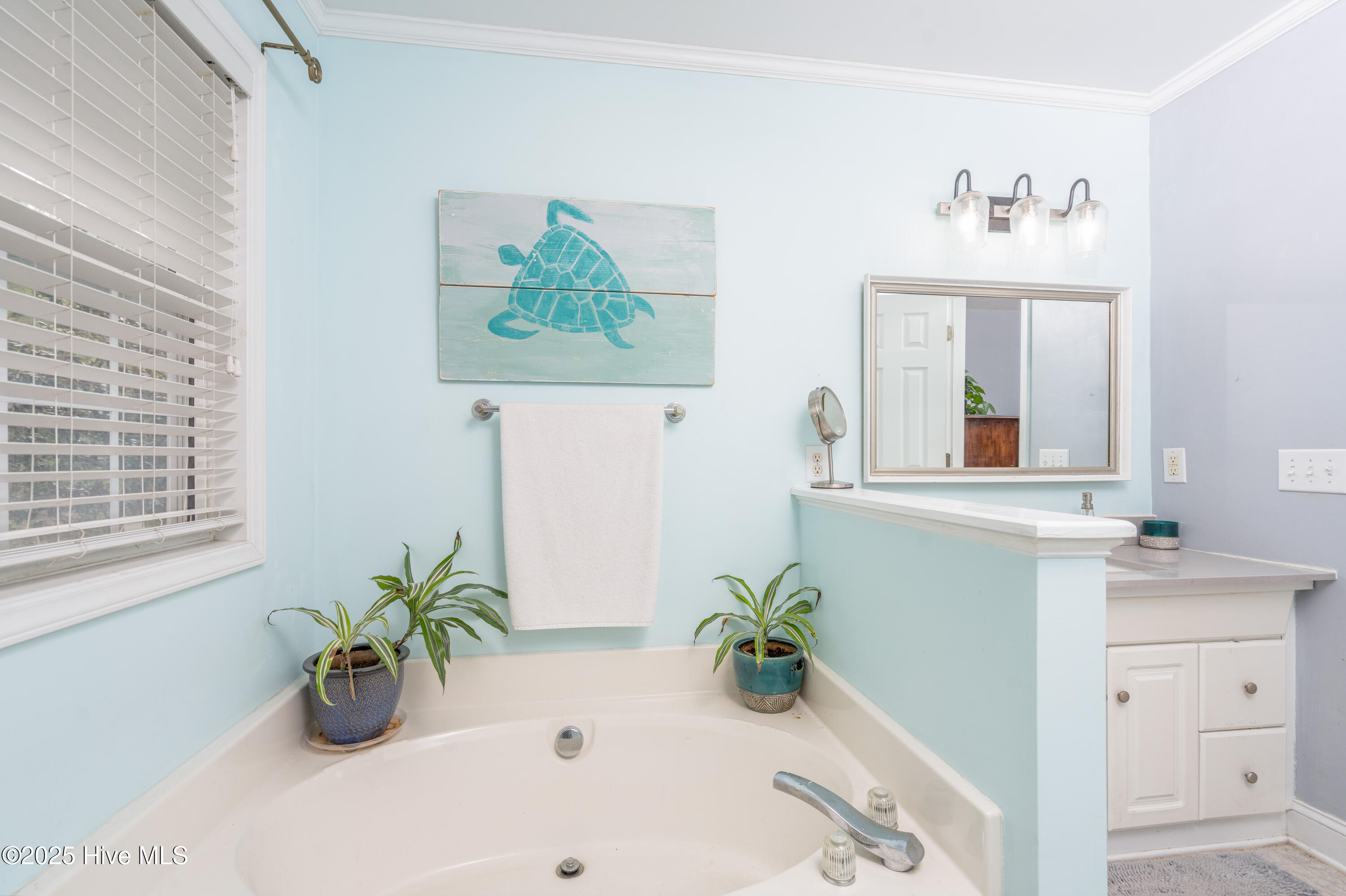 100546381 | Photo 16