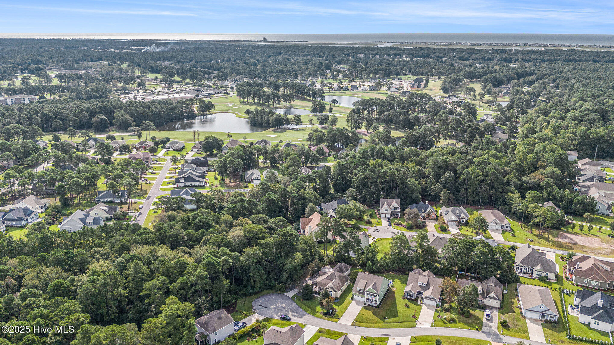 100528380 | Photo 21