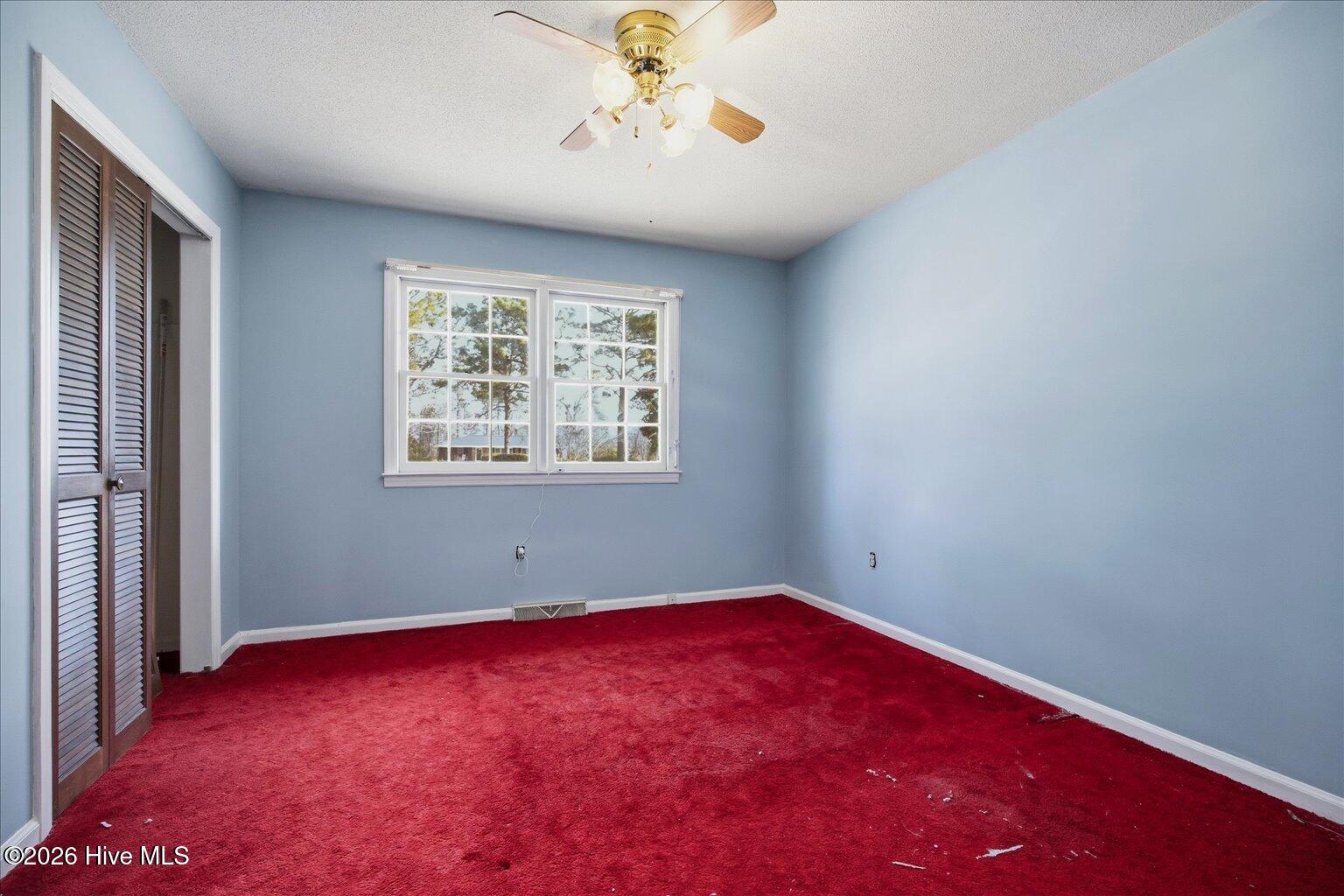 100557418 | Photo 17