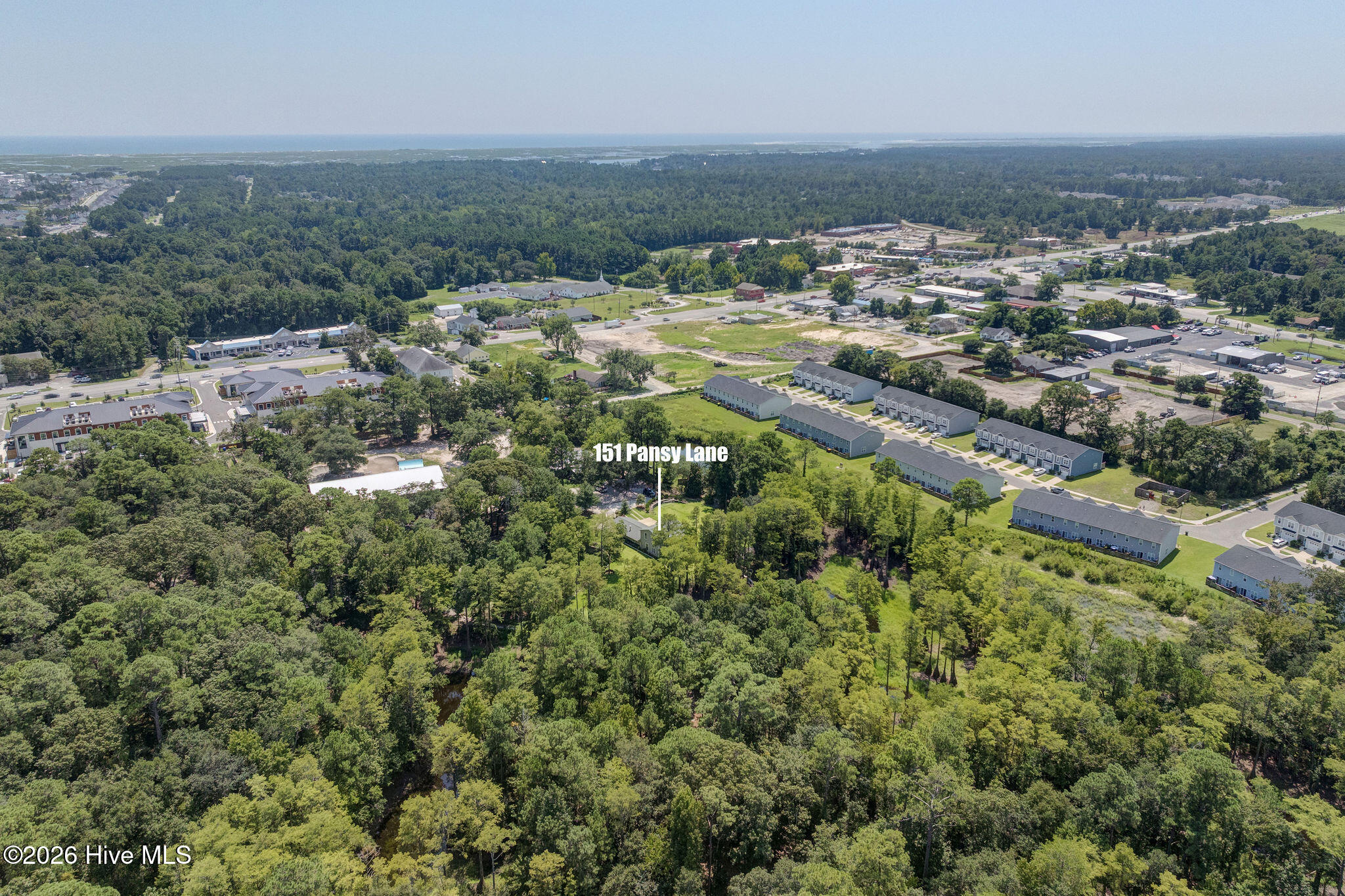 100558109 | Photo 64