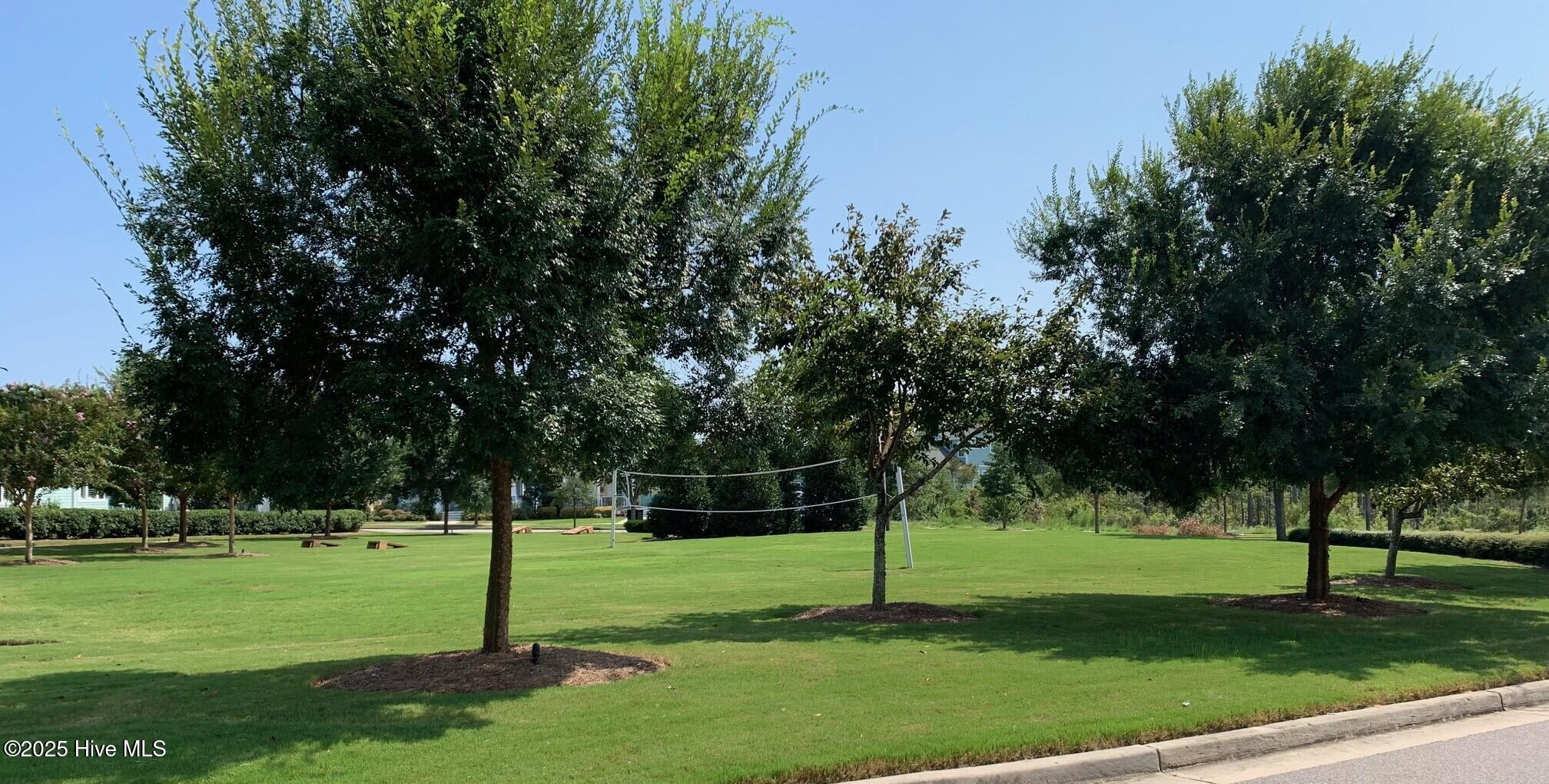 100524366 | Photo 105