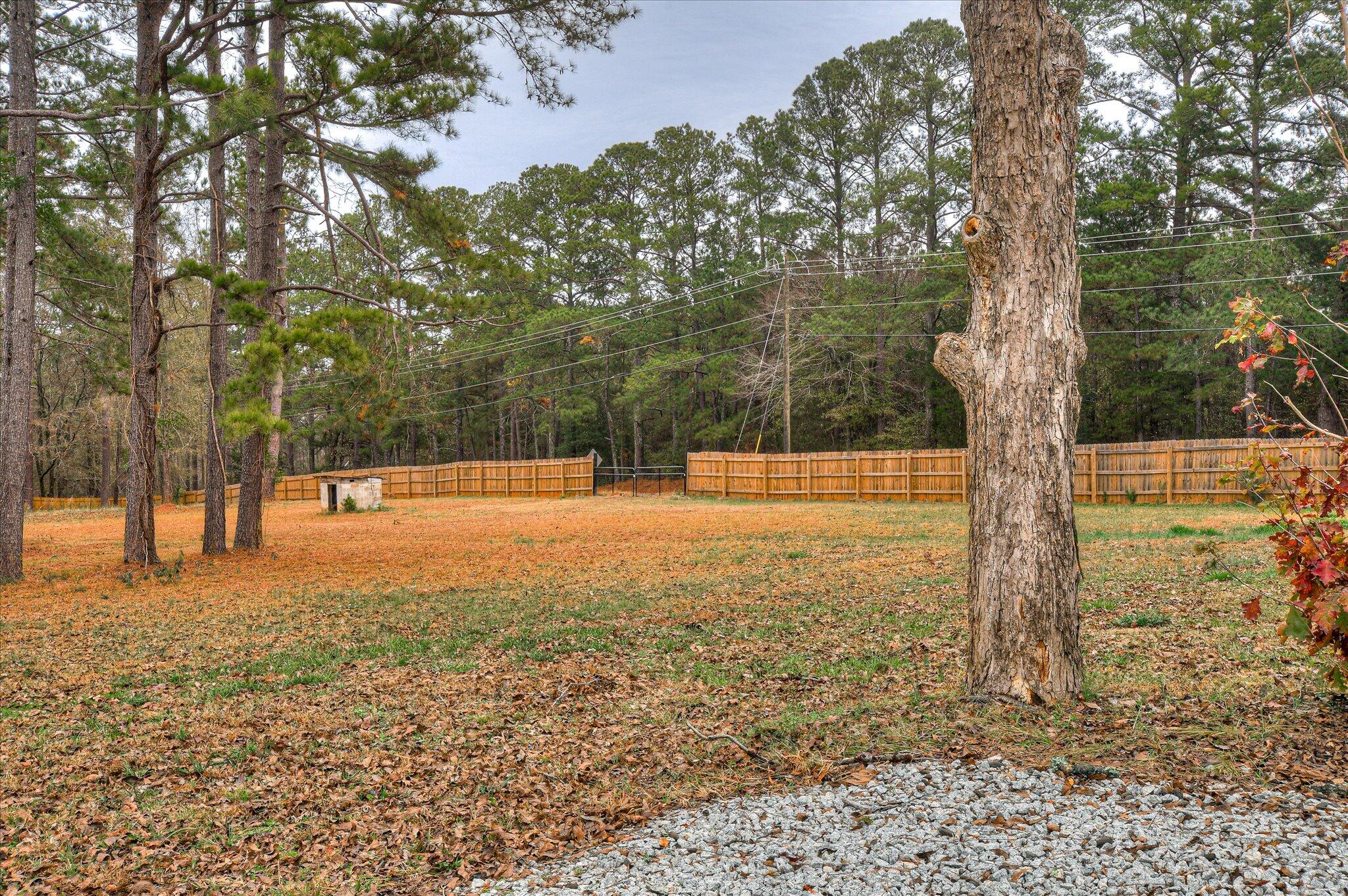 3204 Ray Owens Road, Appling, GA, 30802