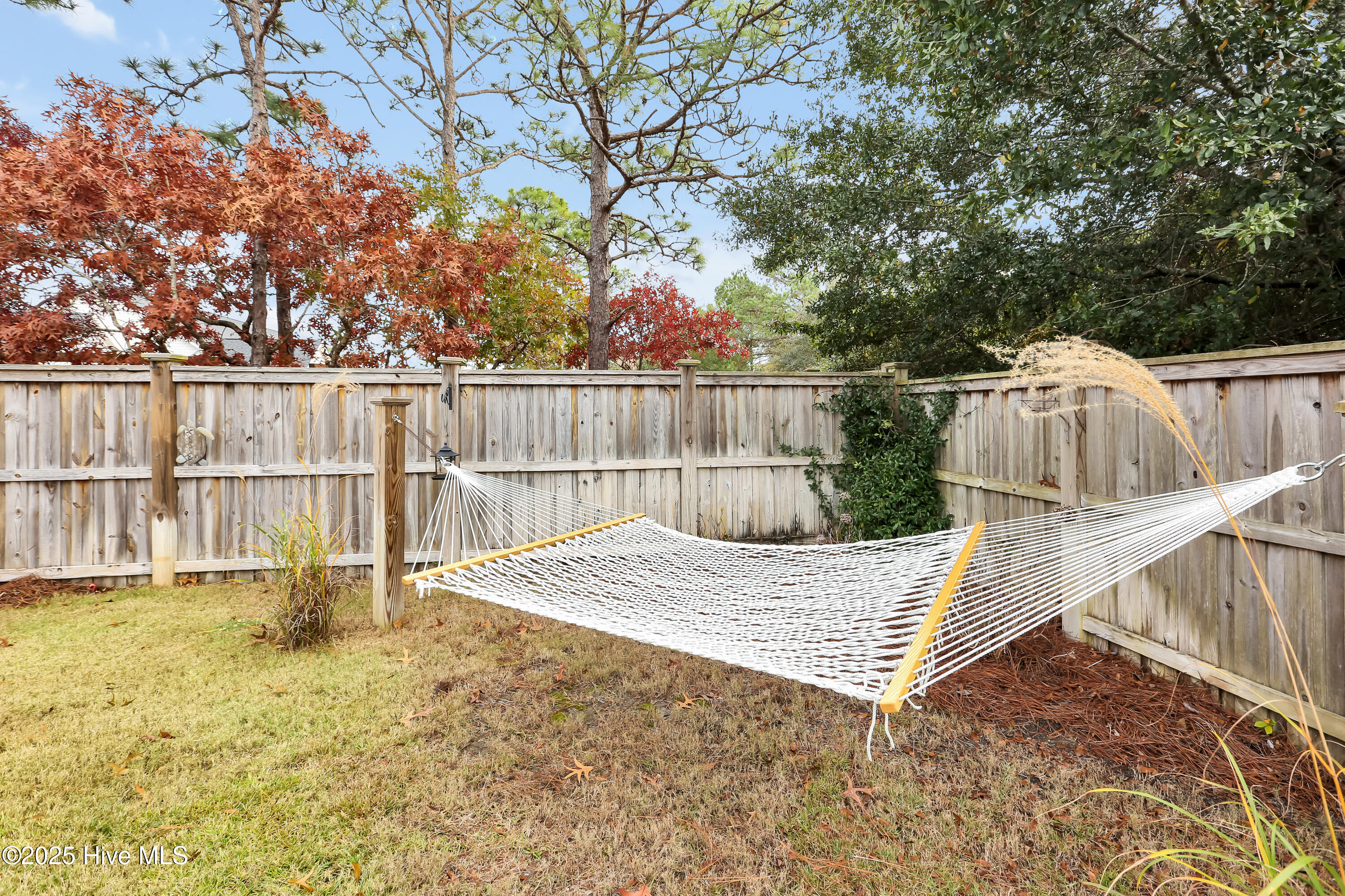 100544245 | Photo 53