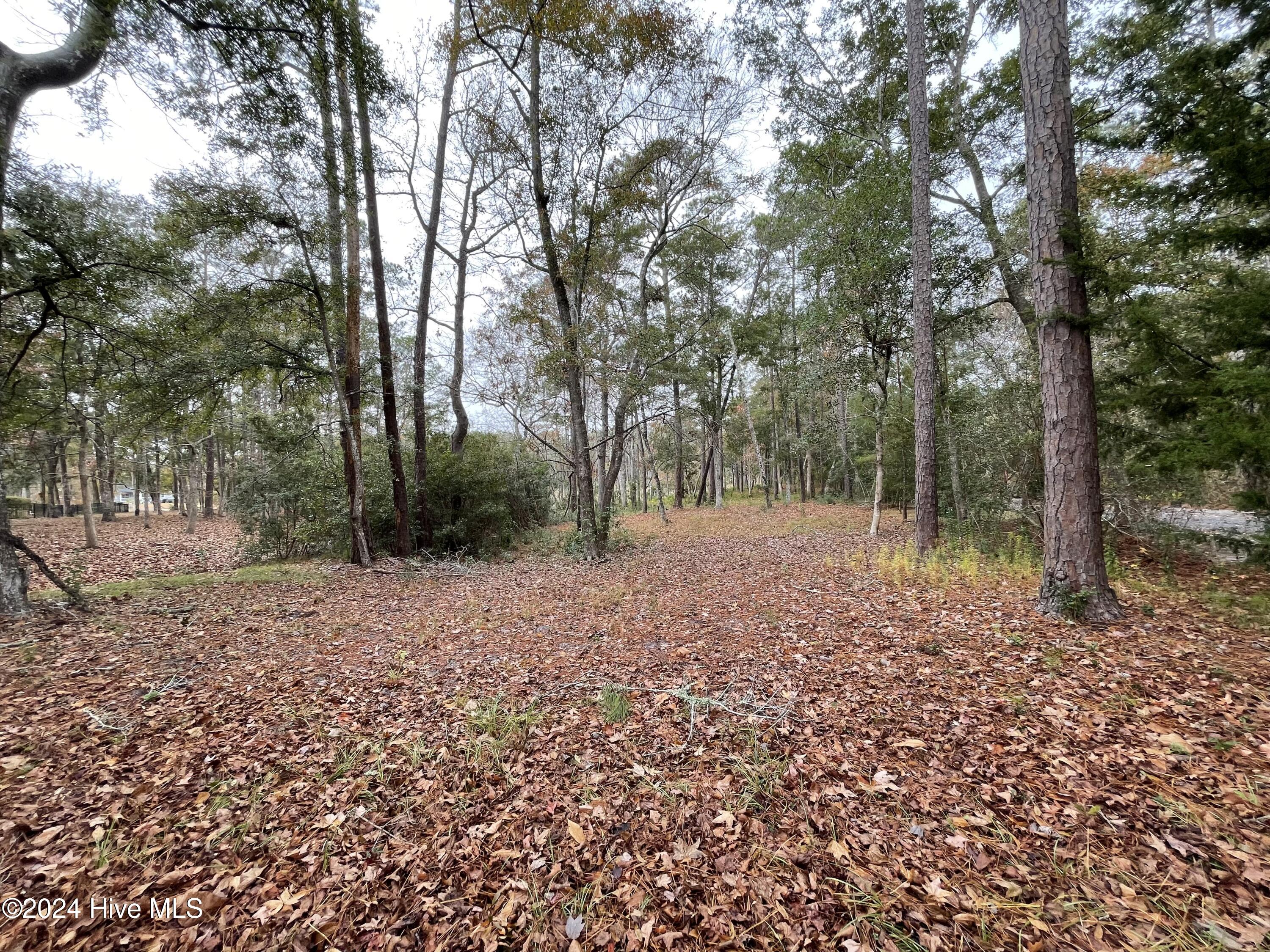 100481360 | Photo 14