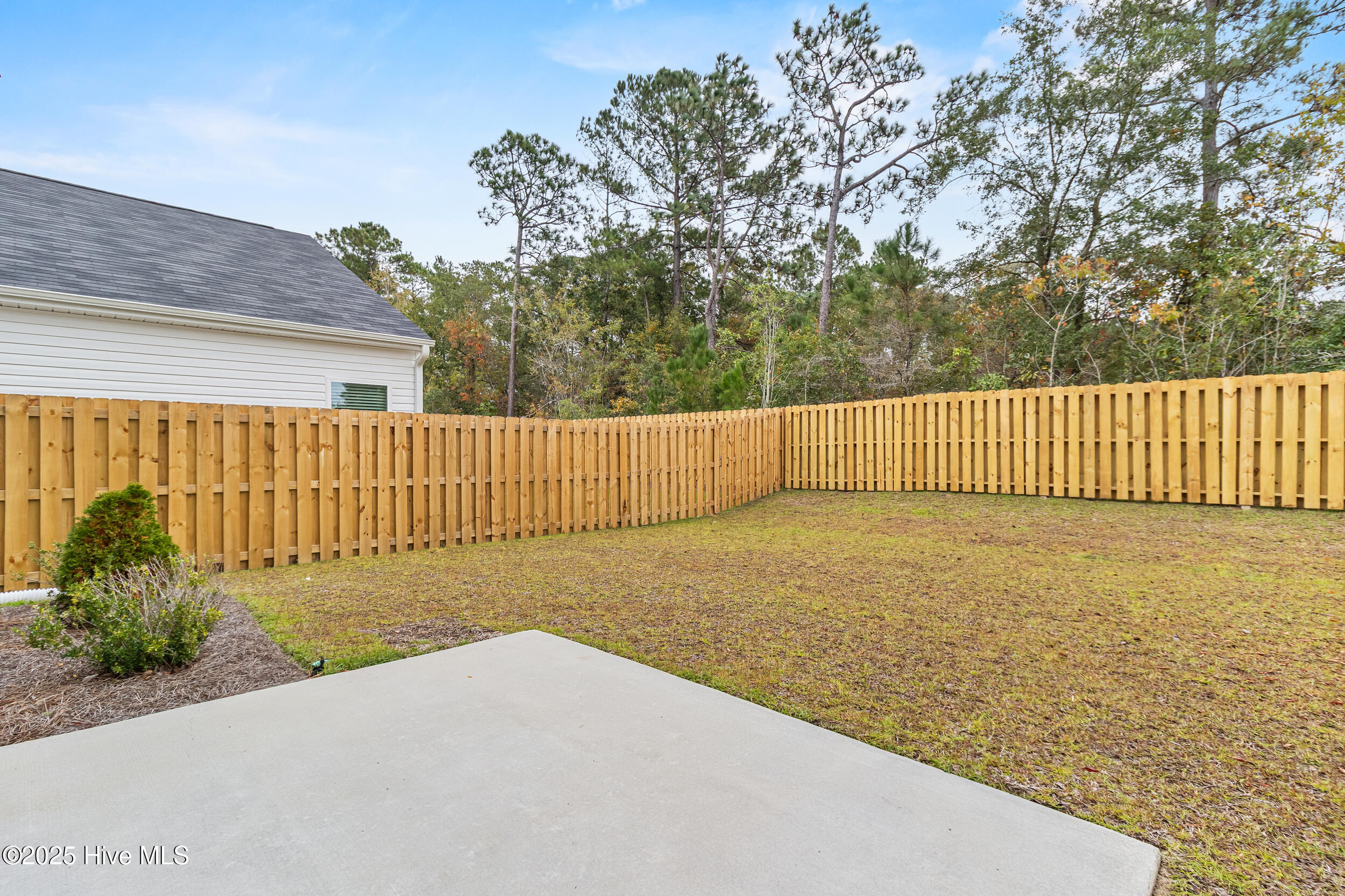 100538946 | Photo 44