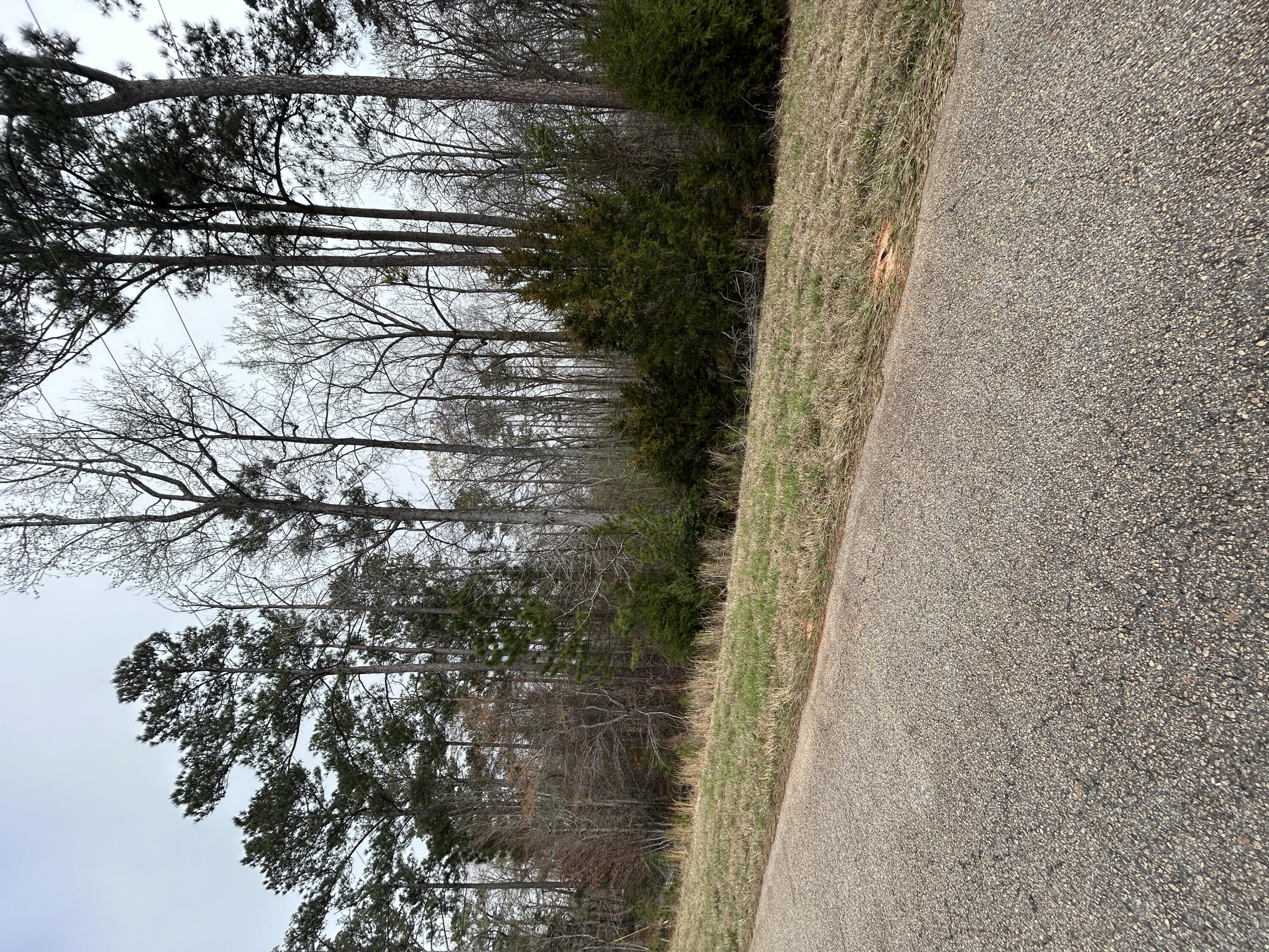 Homes for sale in Lincolnton, GA | 547 Nathania Farm Rd, Lincolnton, GA 30817 | MLS# 553046