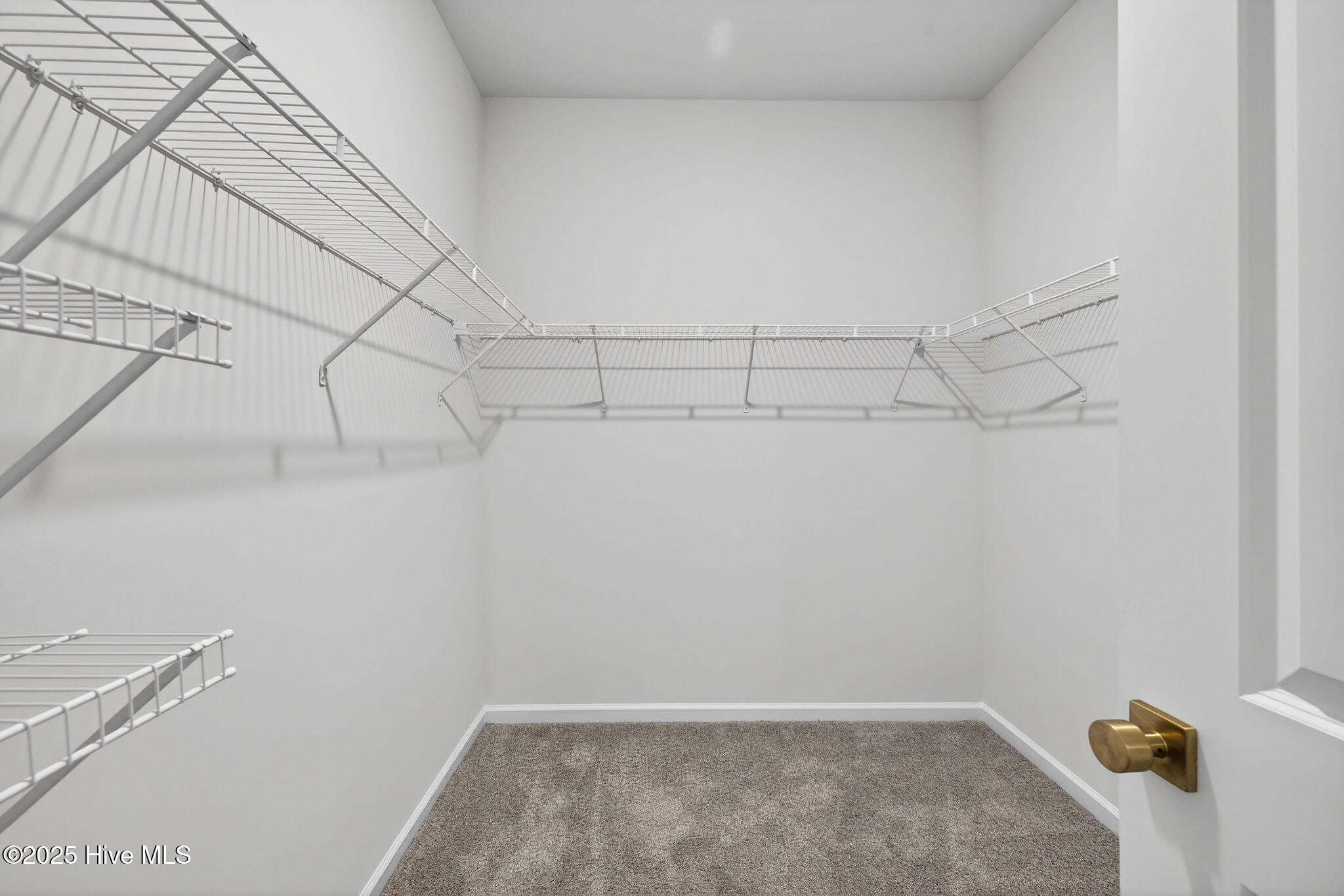 100535108 | Photo 23