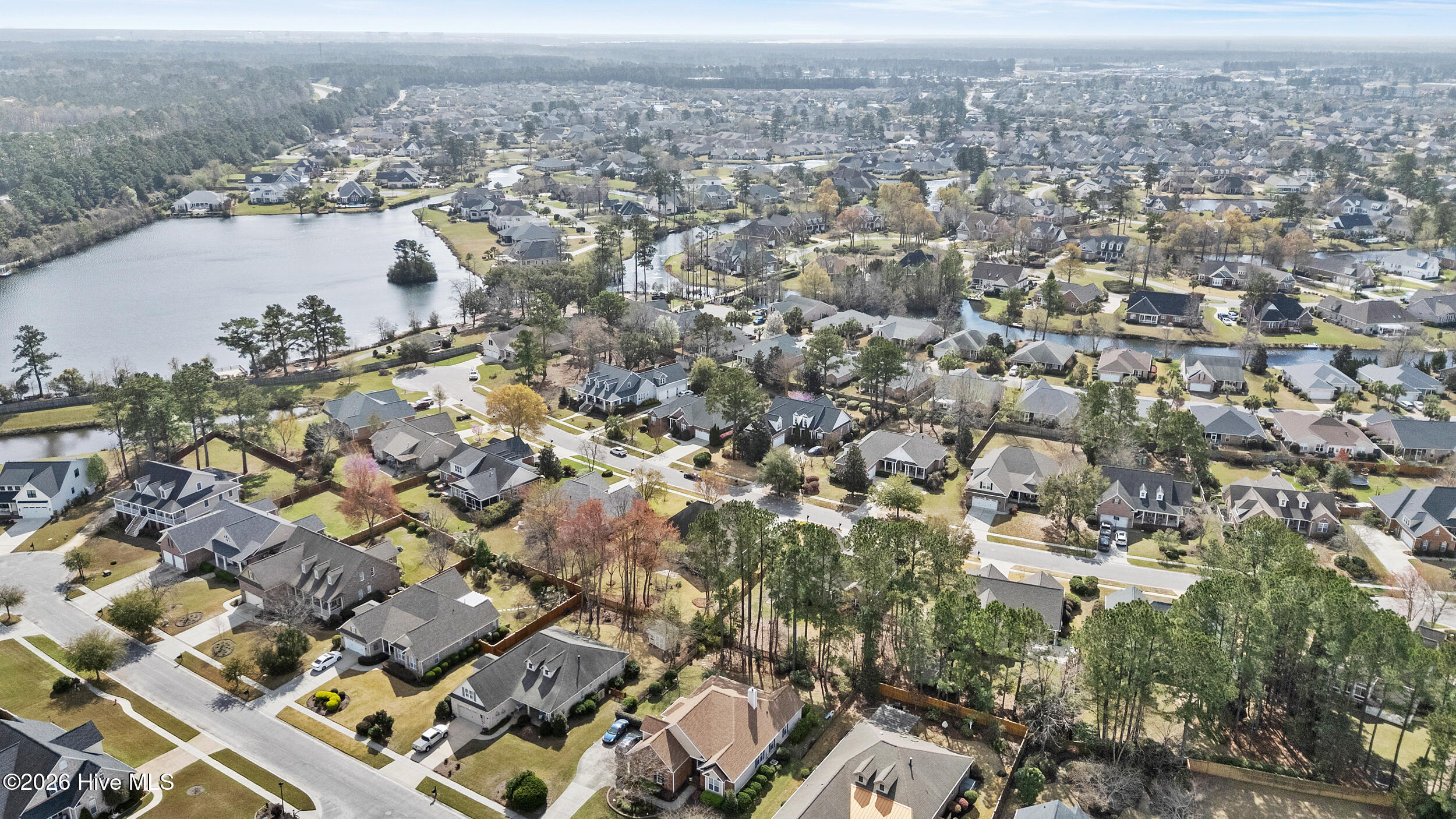 100564950 | Photo 50