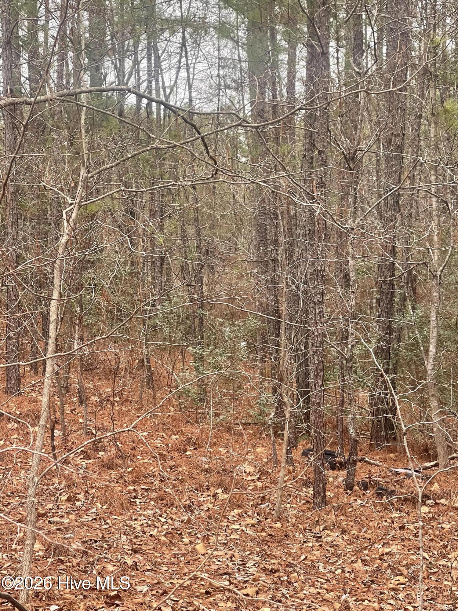 7th image of Lot 6 & 7 Bumpy Ln, Sanford, NC 27332 | MLS# 100590915