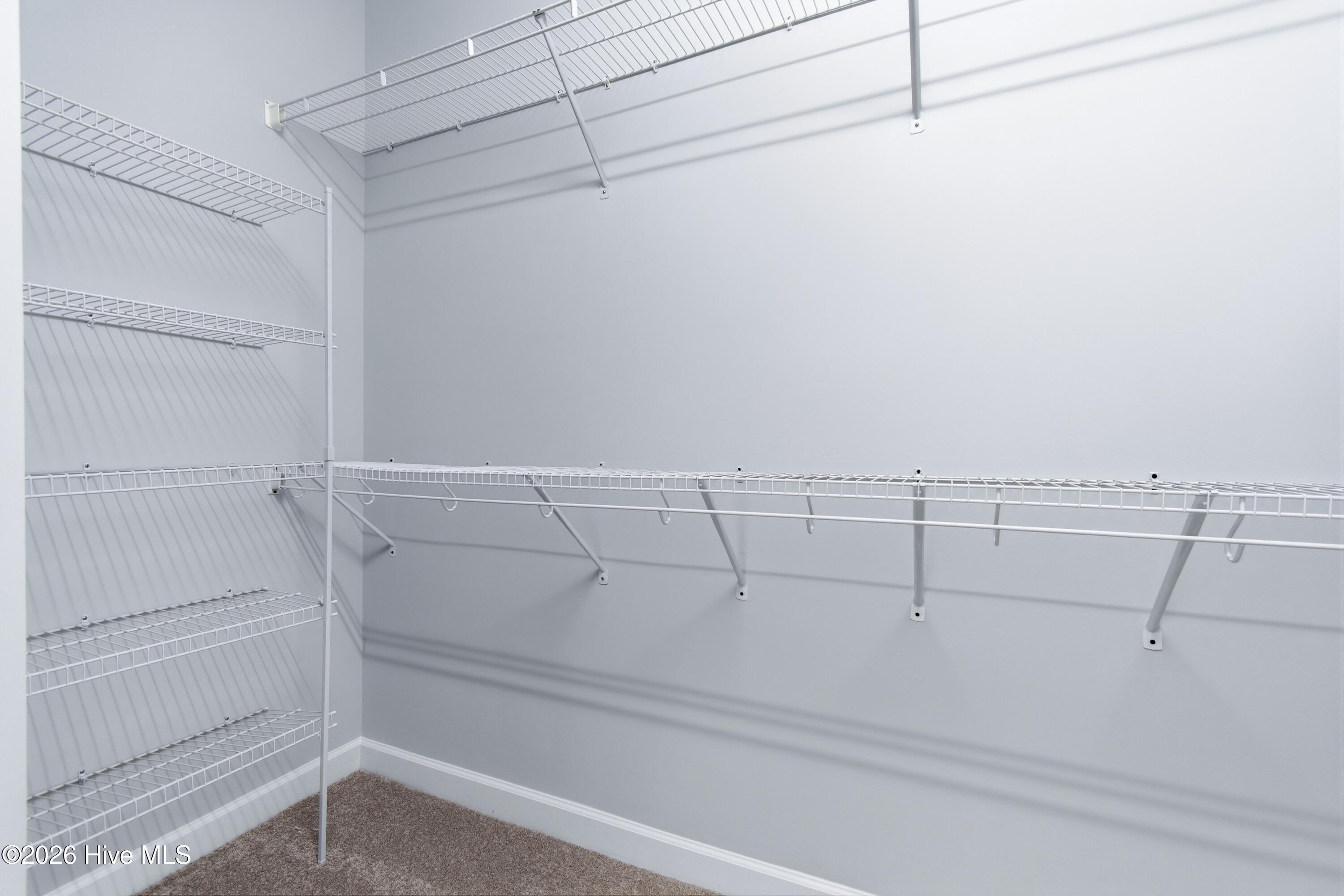 100555748 | Photo 39