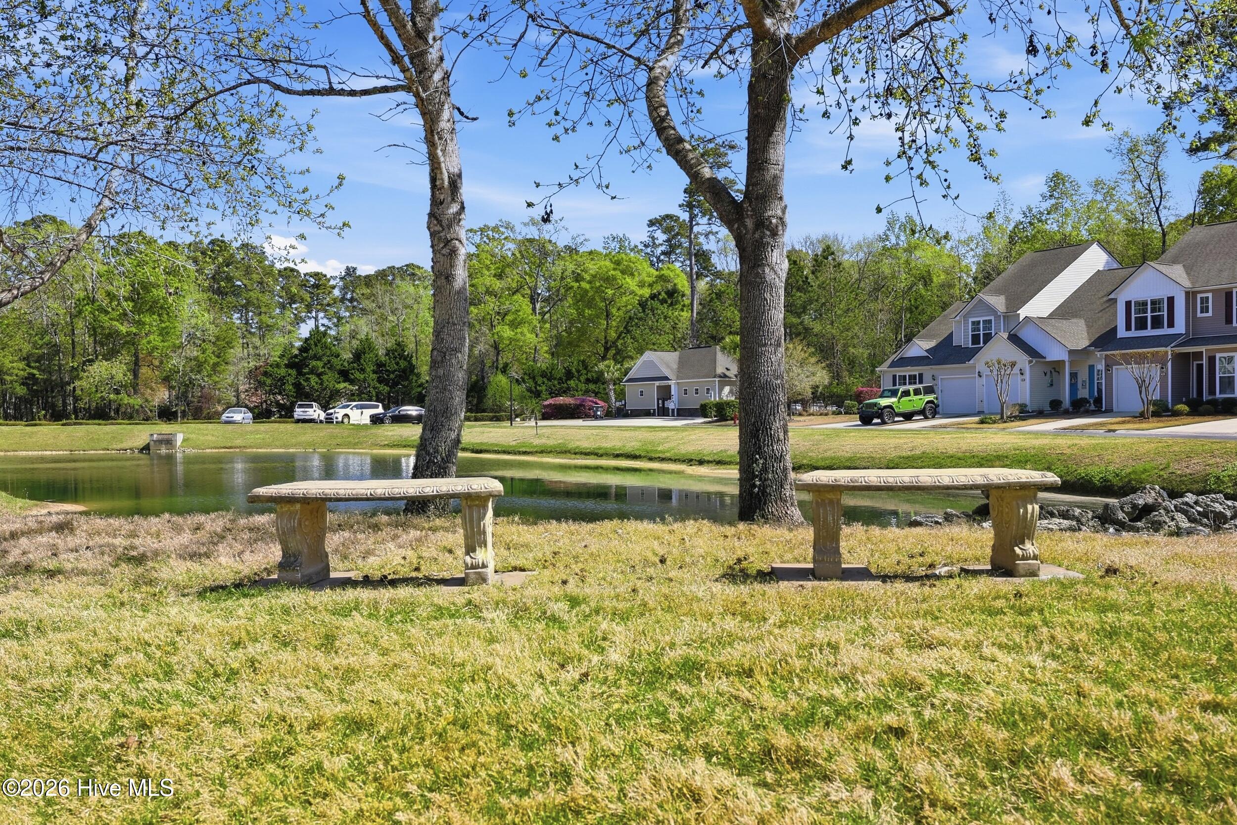 100564272 | Photo 35