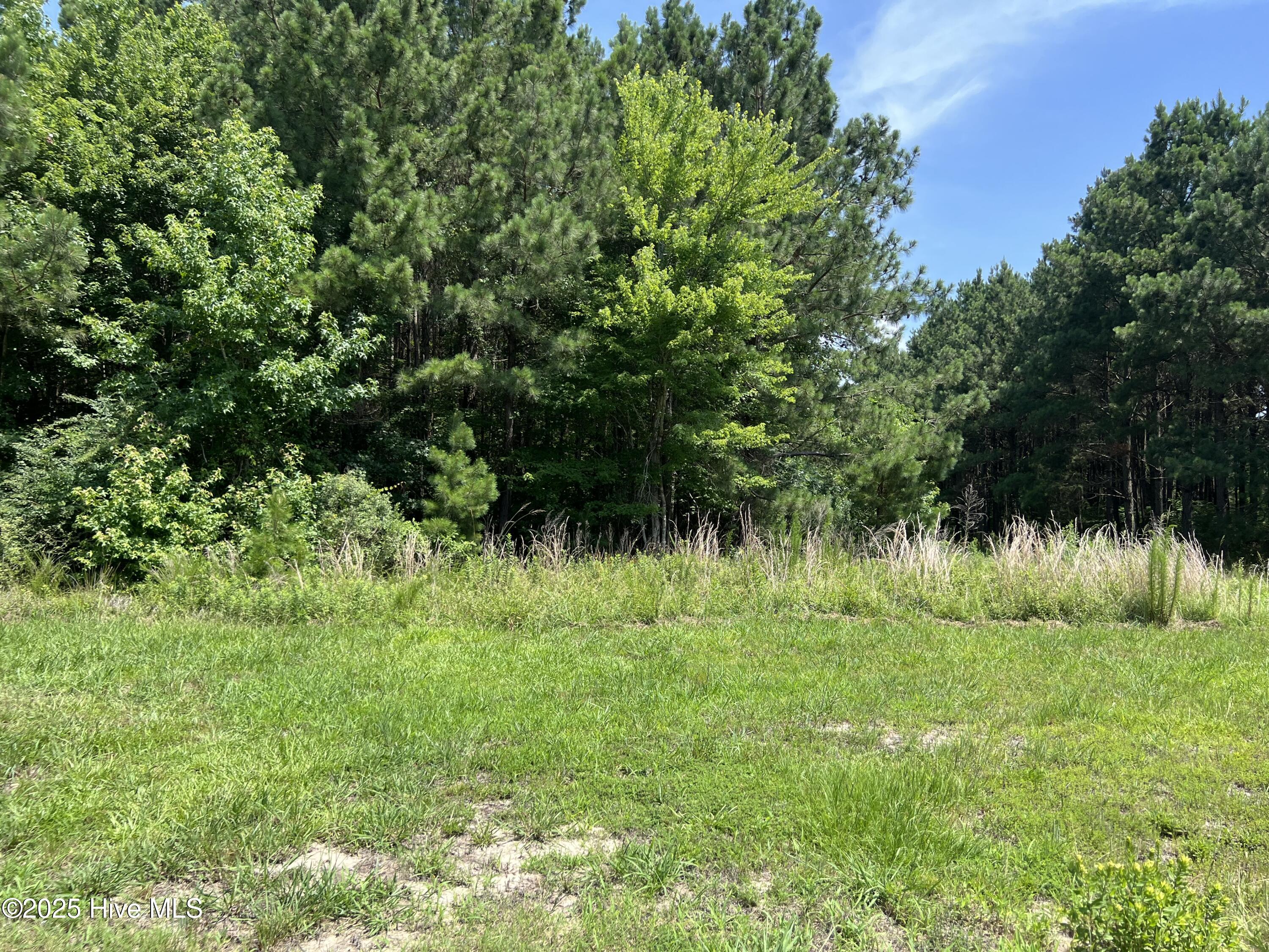 150 Branch Bay Landing Court, Hertford, NC, 27944