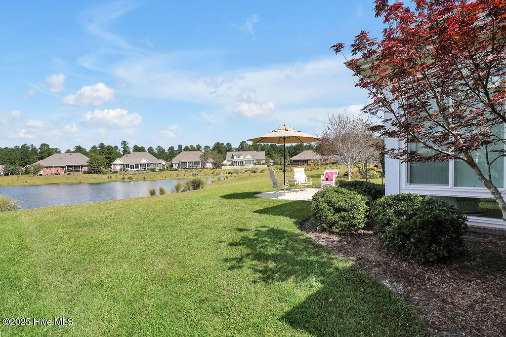 100534763 | Photo 47