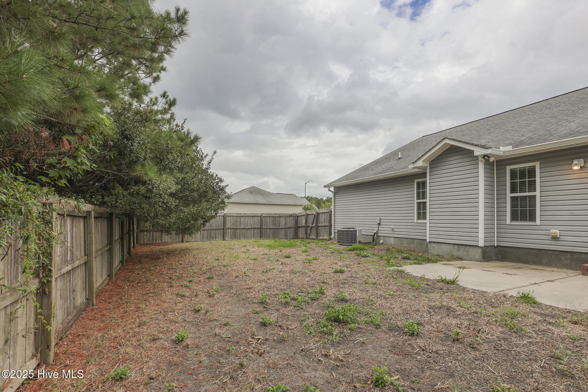 100536070 | Photo 40