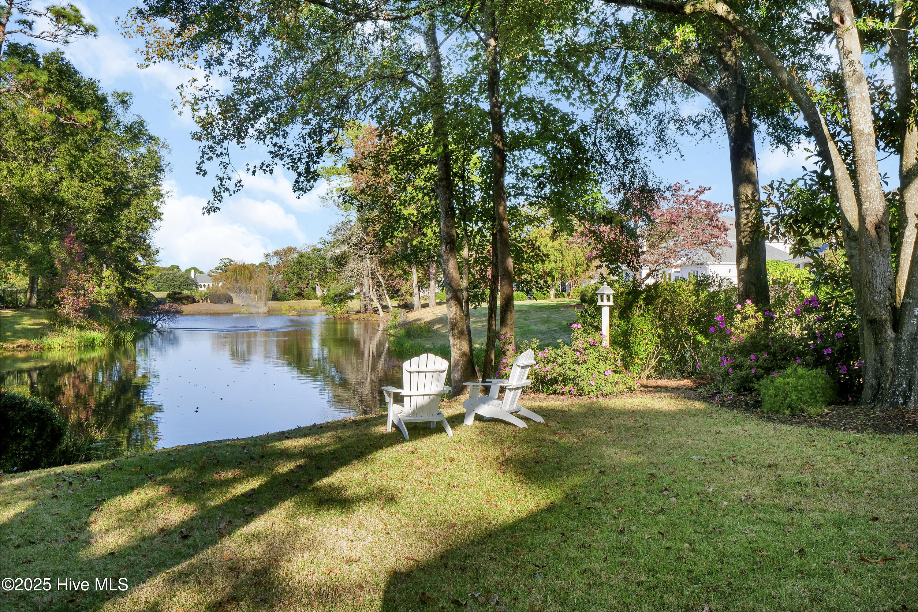 100541341 | Photo 69