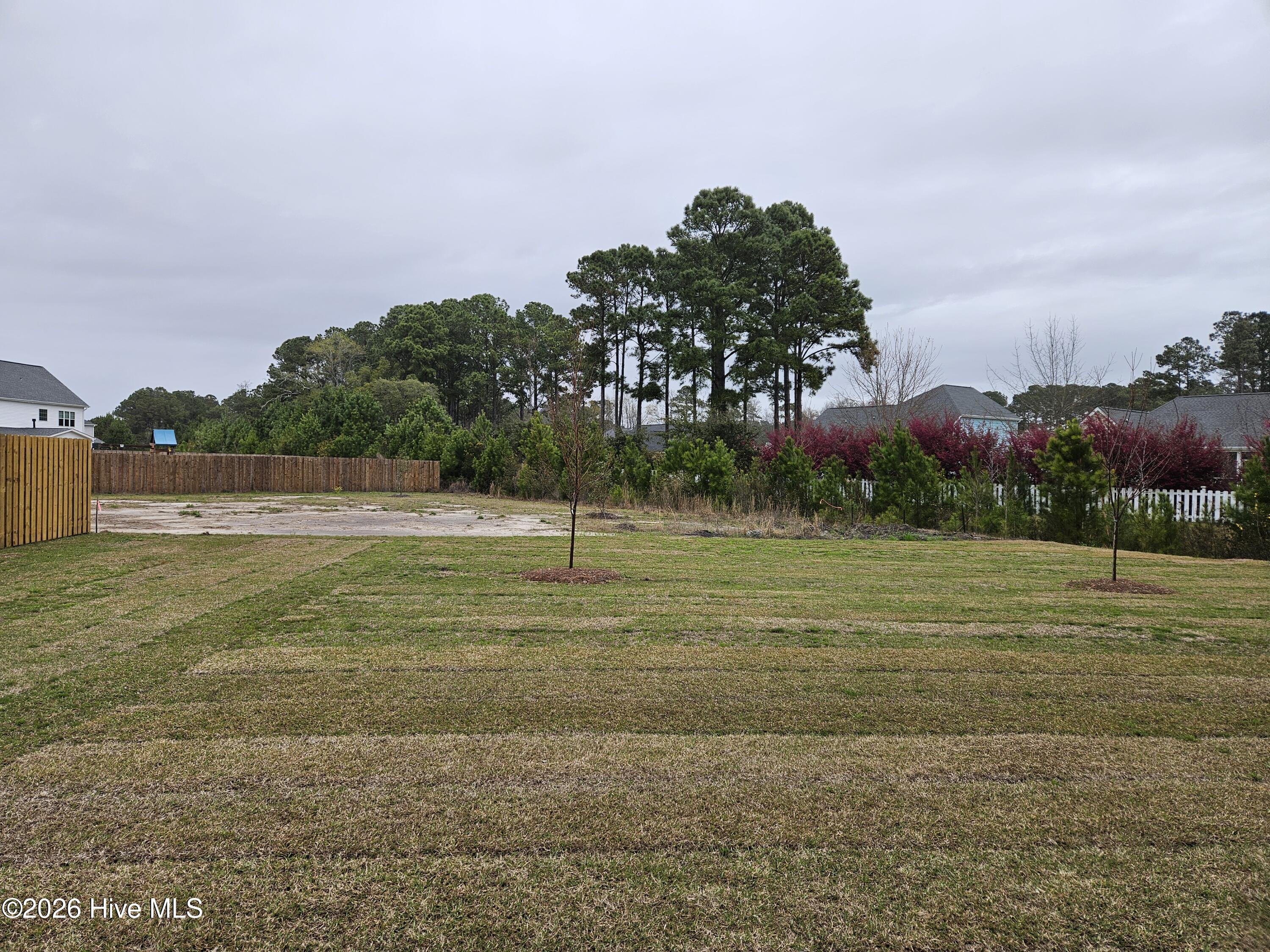 100569103 | Photo 33